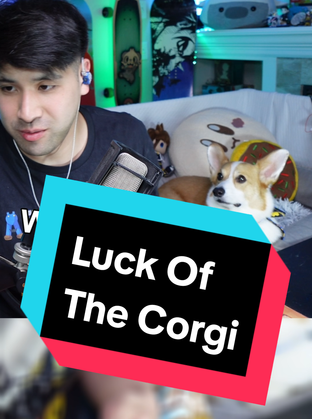 @Protocorg | Twitch Streamer