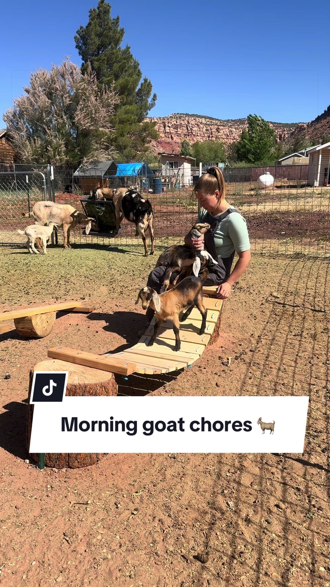 @moonbeammicrofarm