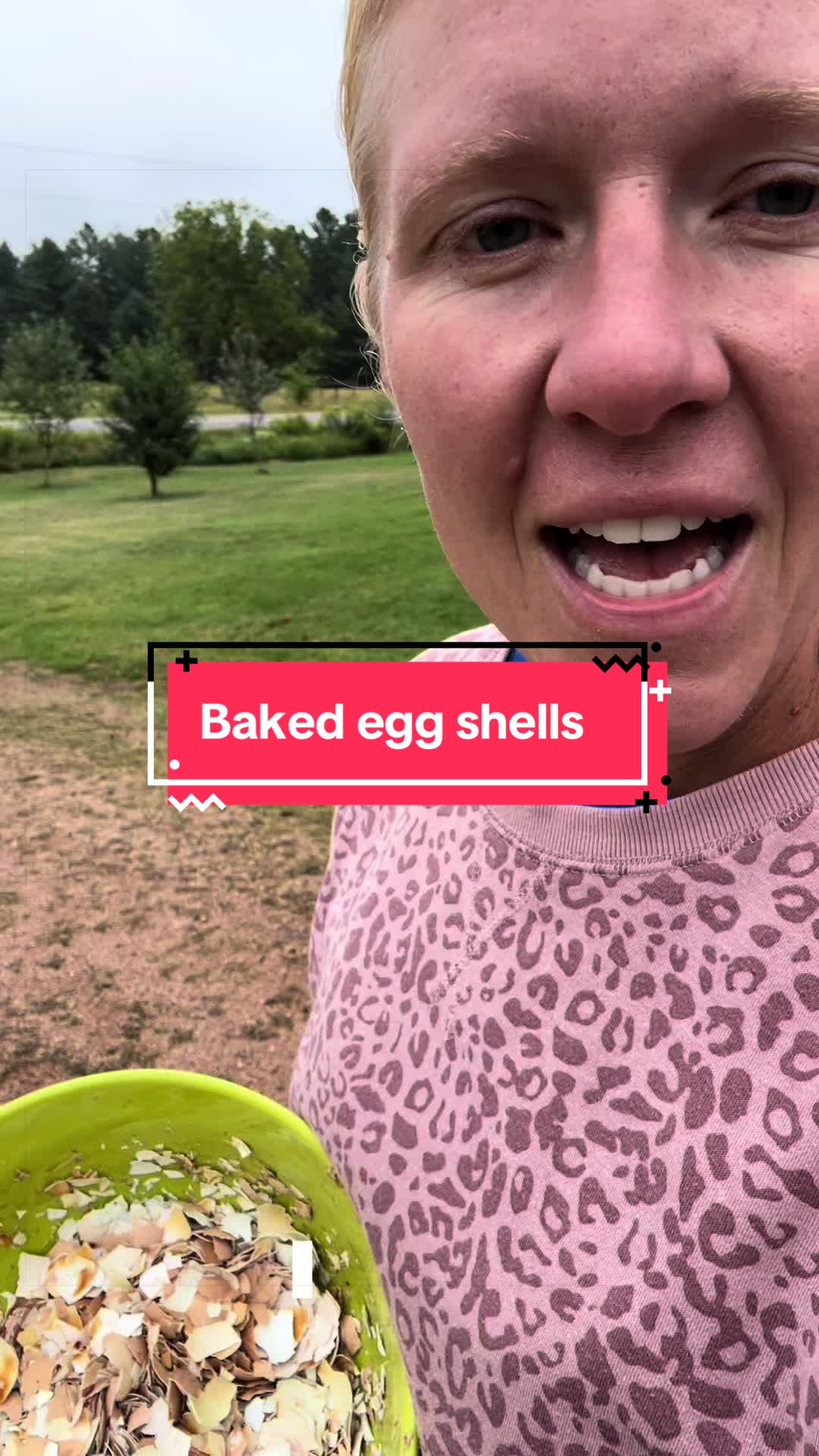 @littlesandycreekfarm