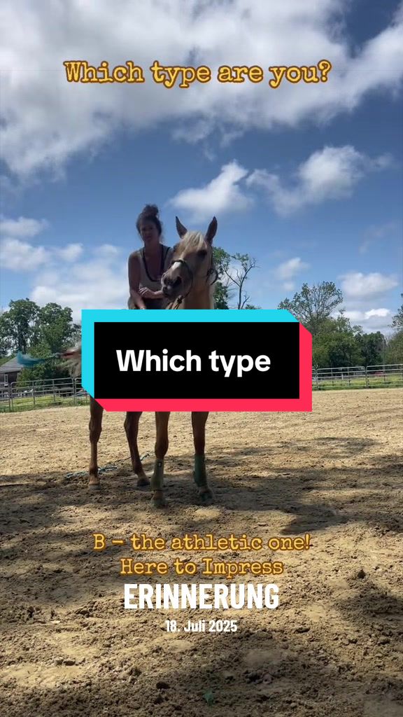 @Sandra’s pale herd 🐴