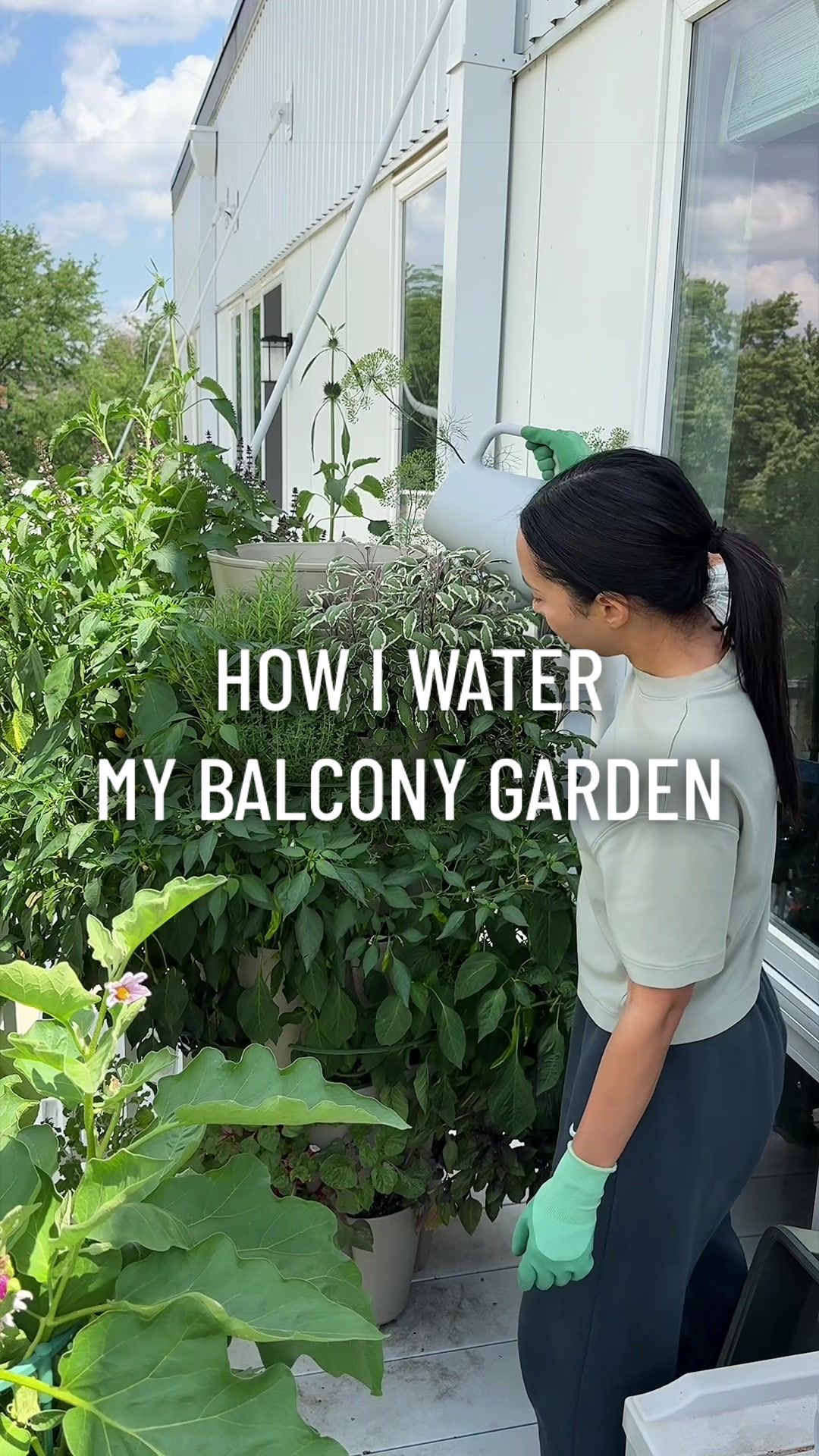 @gardeningindoors
