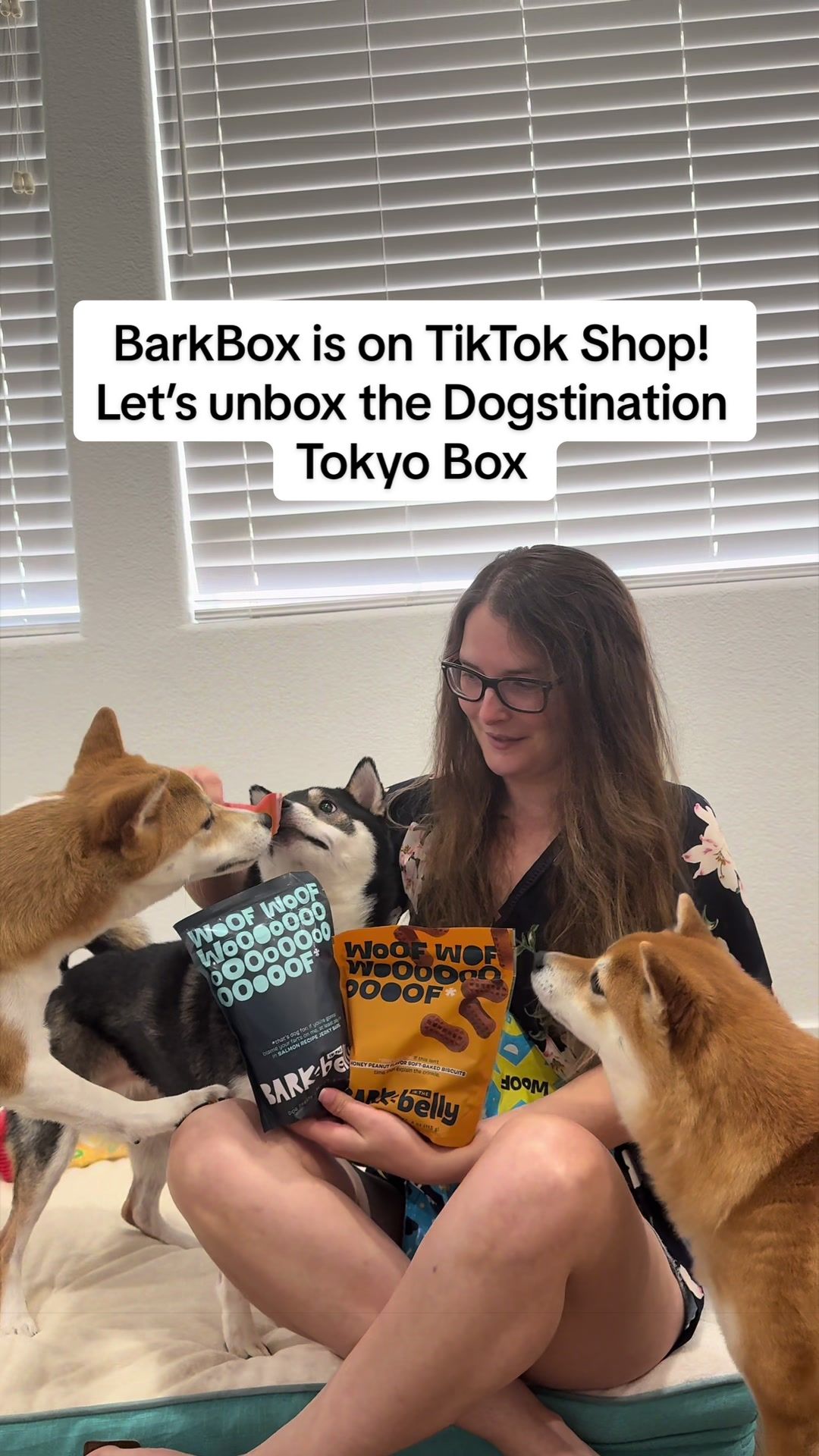 @Flock of Shibas 🐕🐕🐕