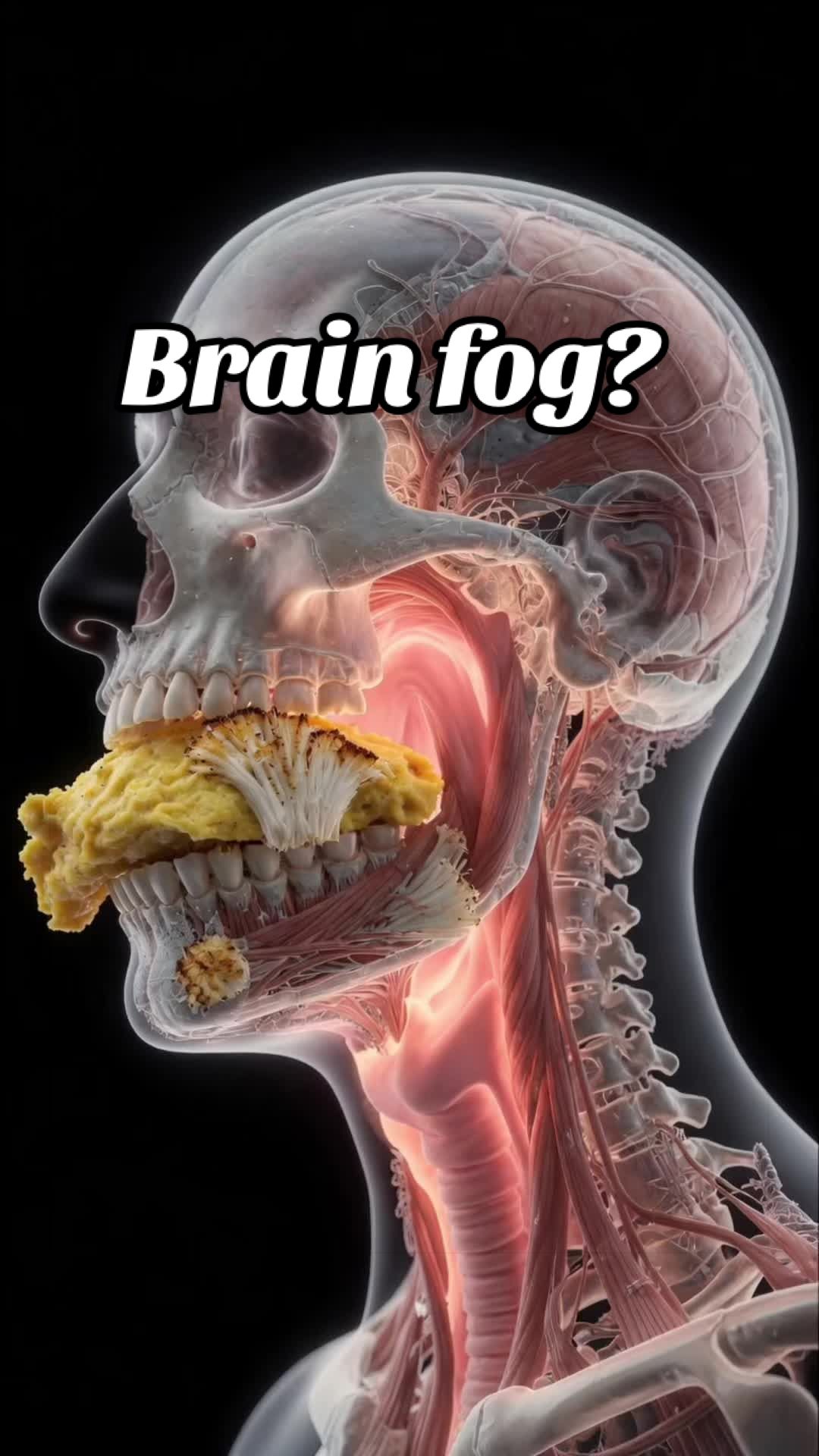 @Yourbodyspeak
