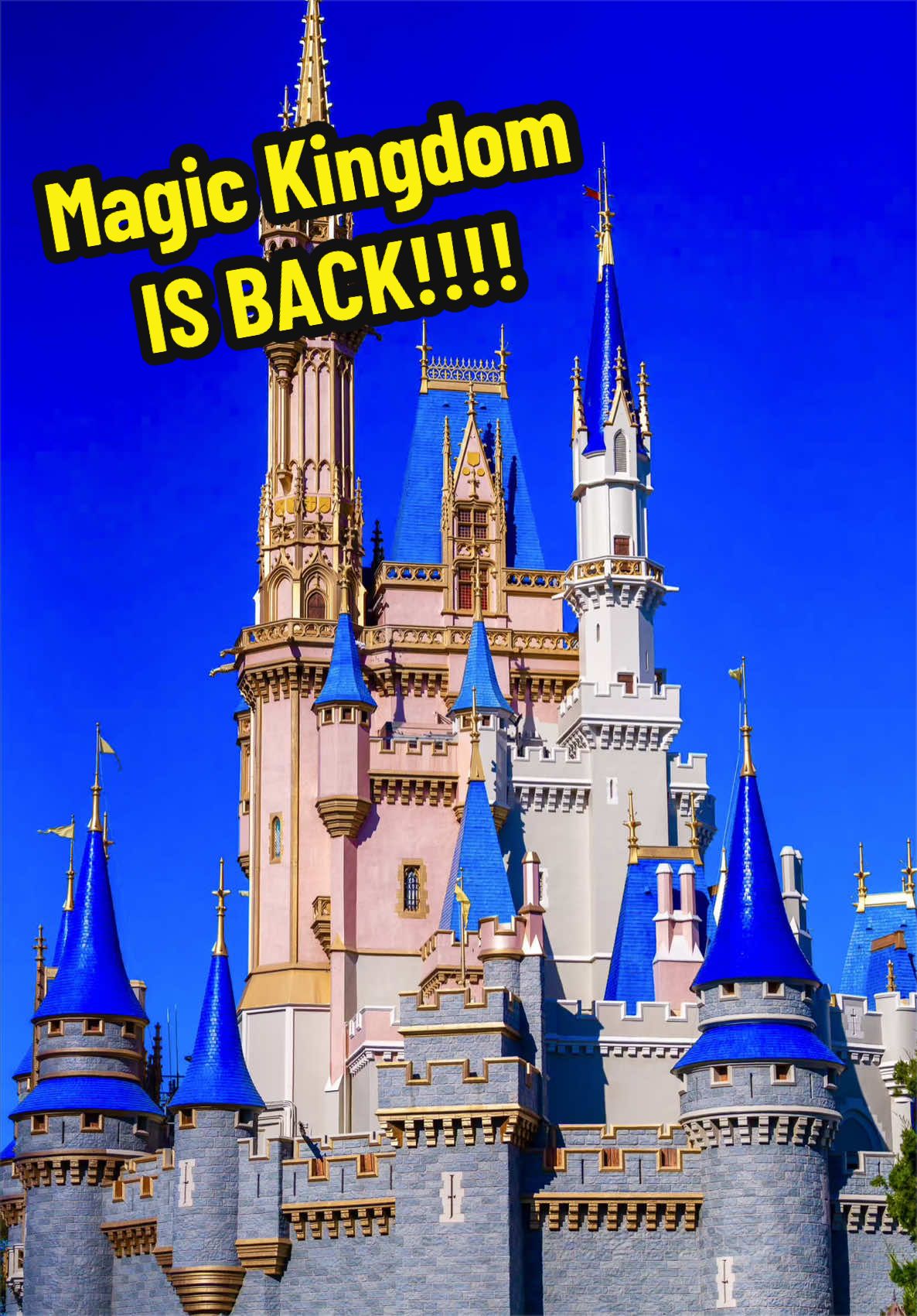 @CallionDisney