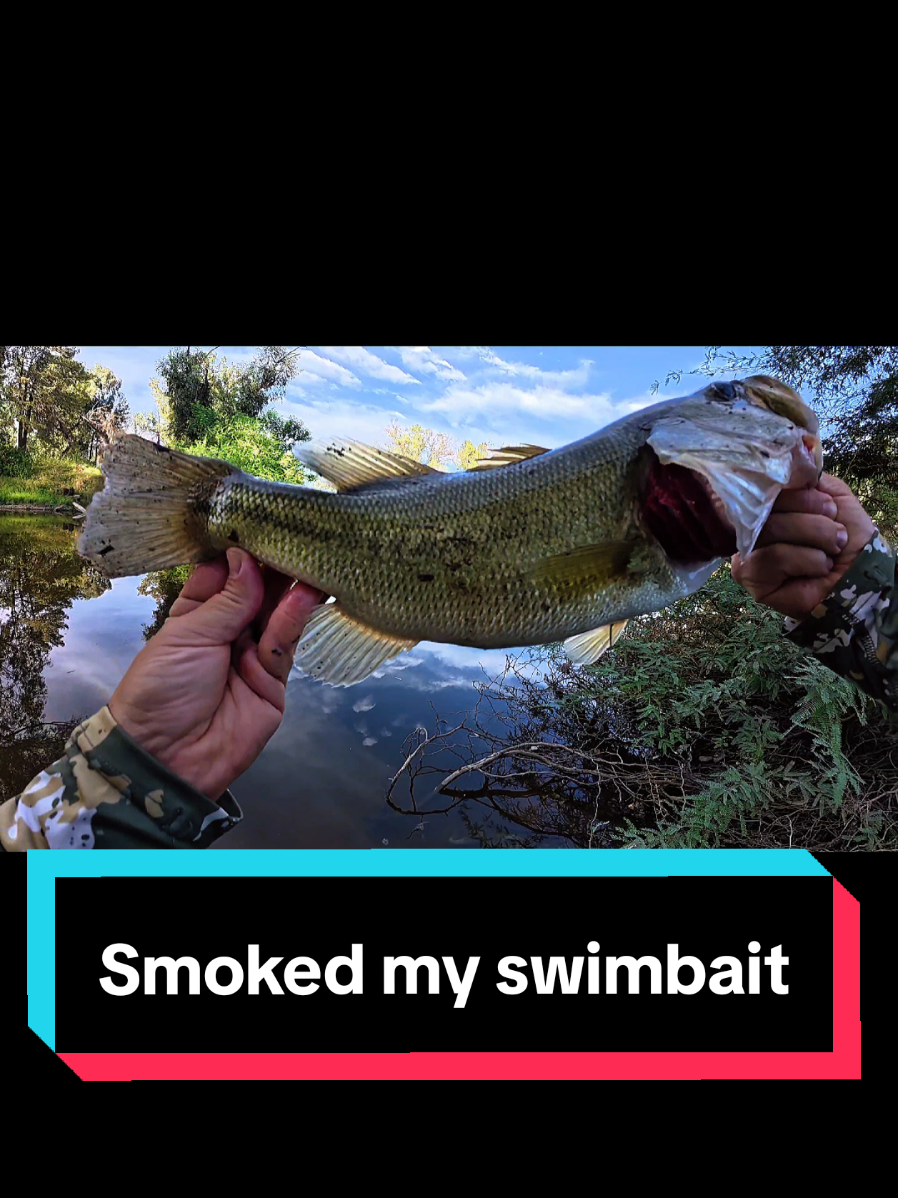 @SalmonInTheDesert