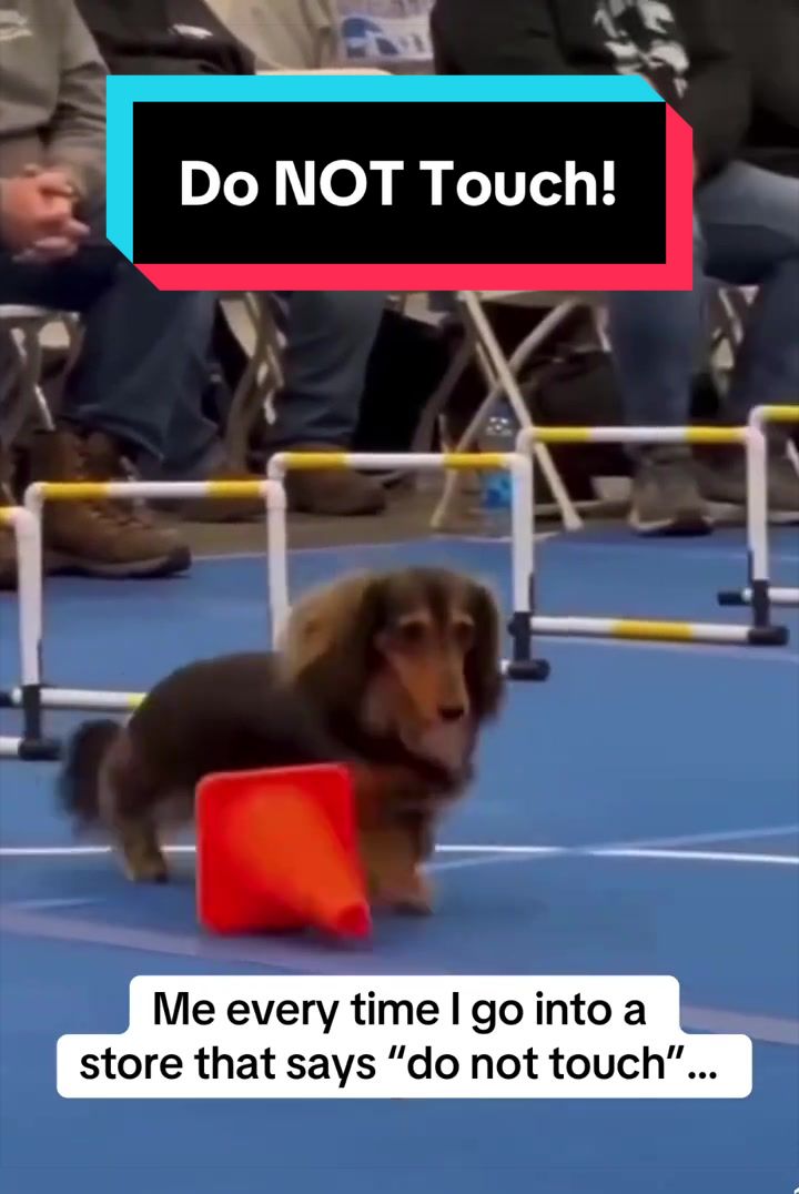 @dr.adam_christman_Veterinarian
