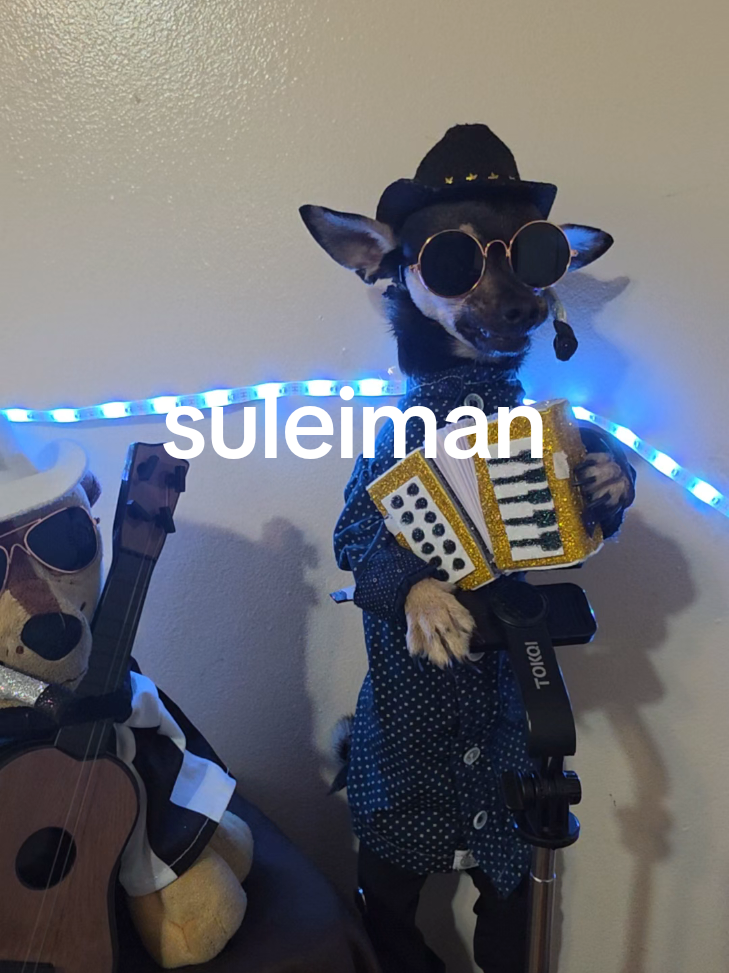 @suleiman 🐕