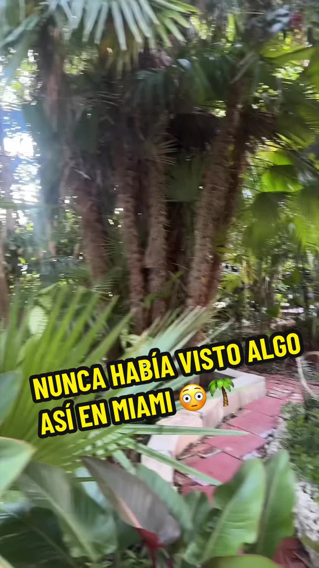 @Luis Perez Miami Real Estate