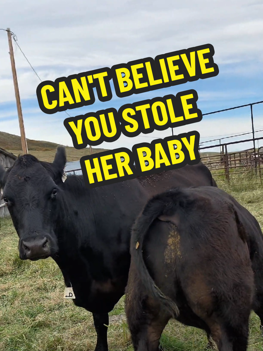 @1HANDNFARMING 🦾🌾🐂🚜