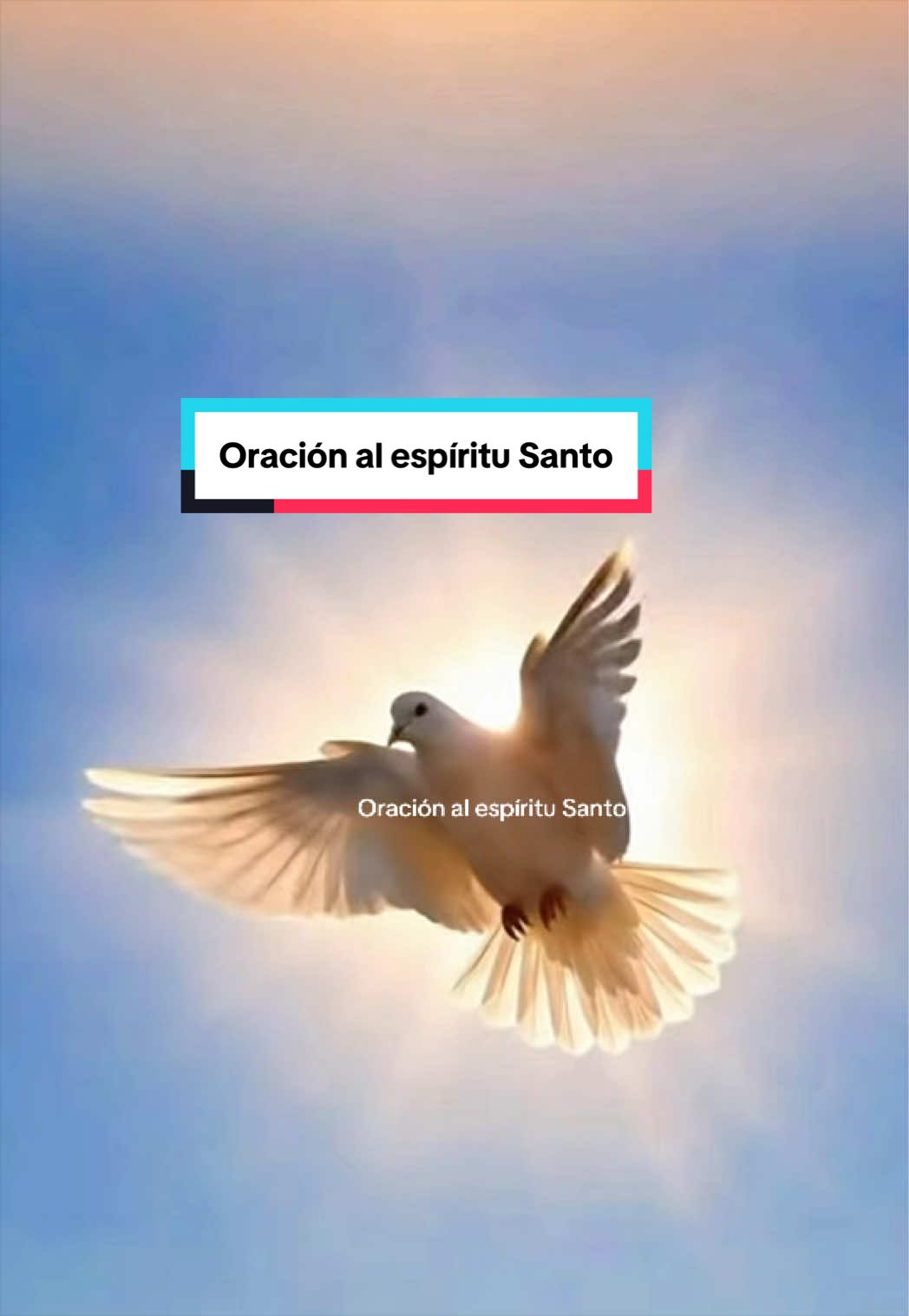 @JUDIT
