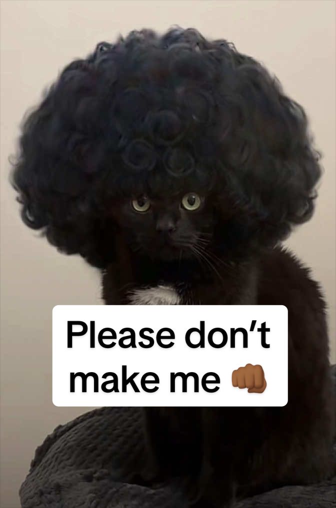 @MattyTheMouf