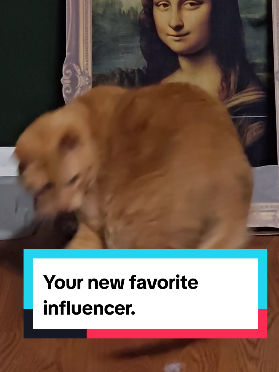 @🌻🐈&zwj;⬛ Ally 📚🦇