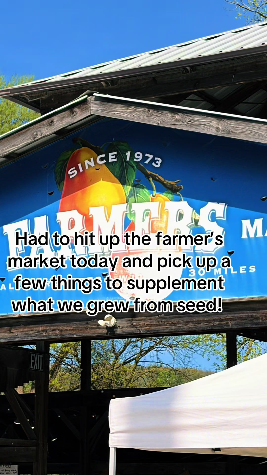 @Resistance Homesteaders