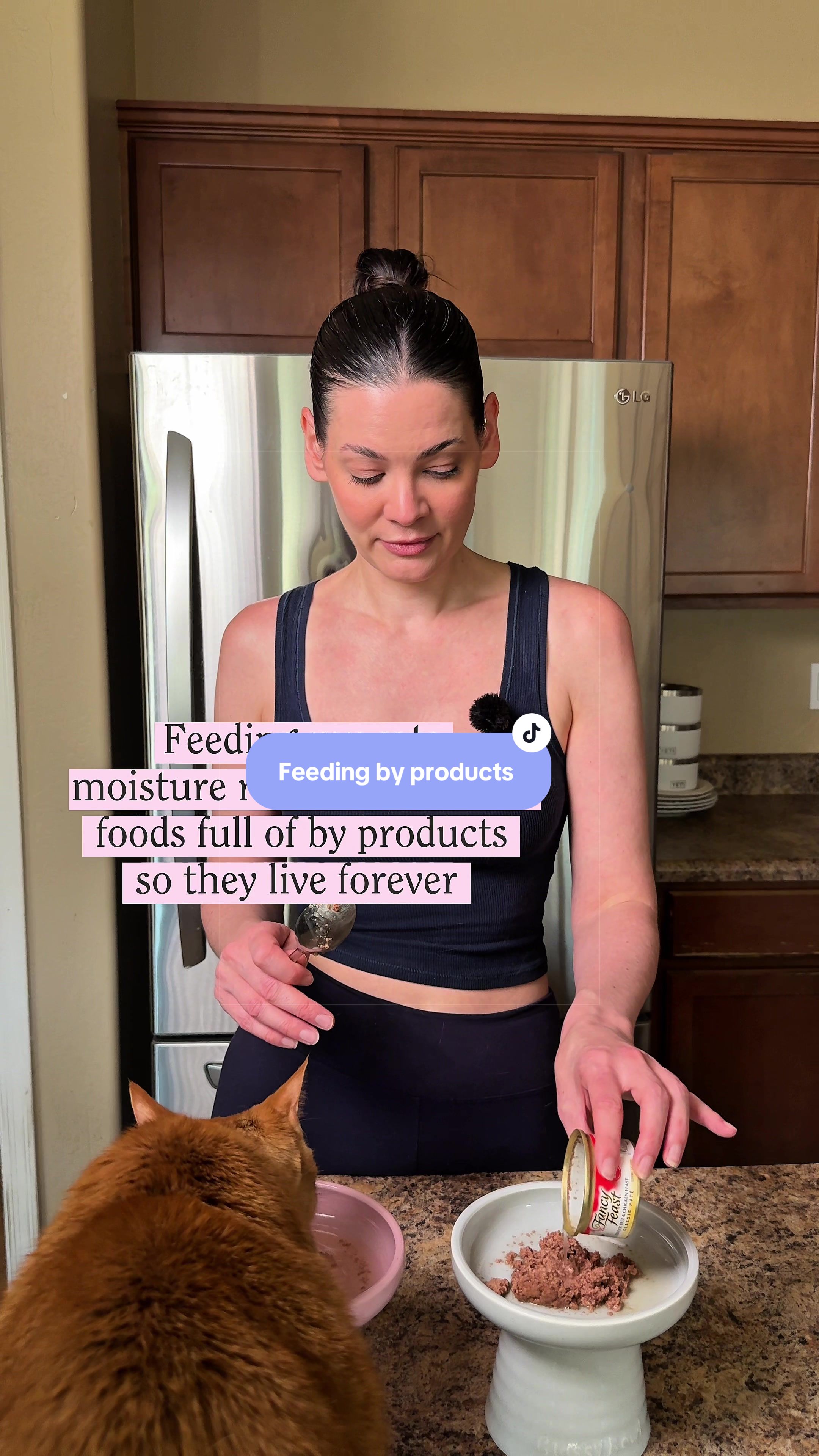 @Feminist Kitty | Cat Nutrition