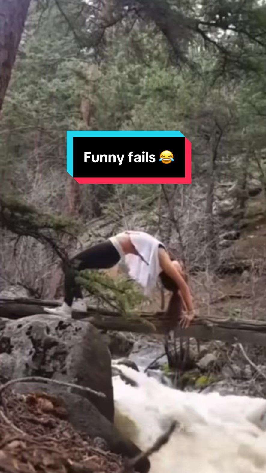 @Funny bunny