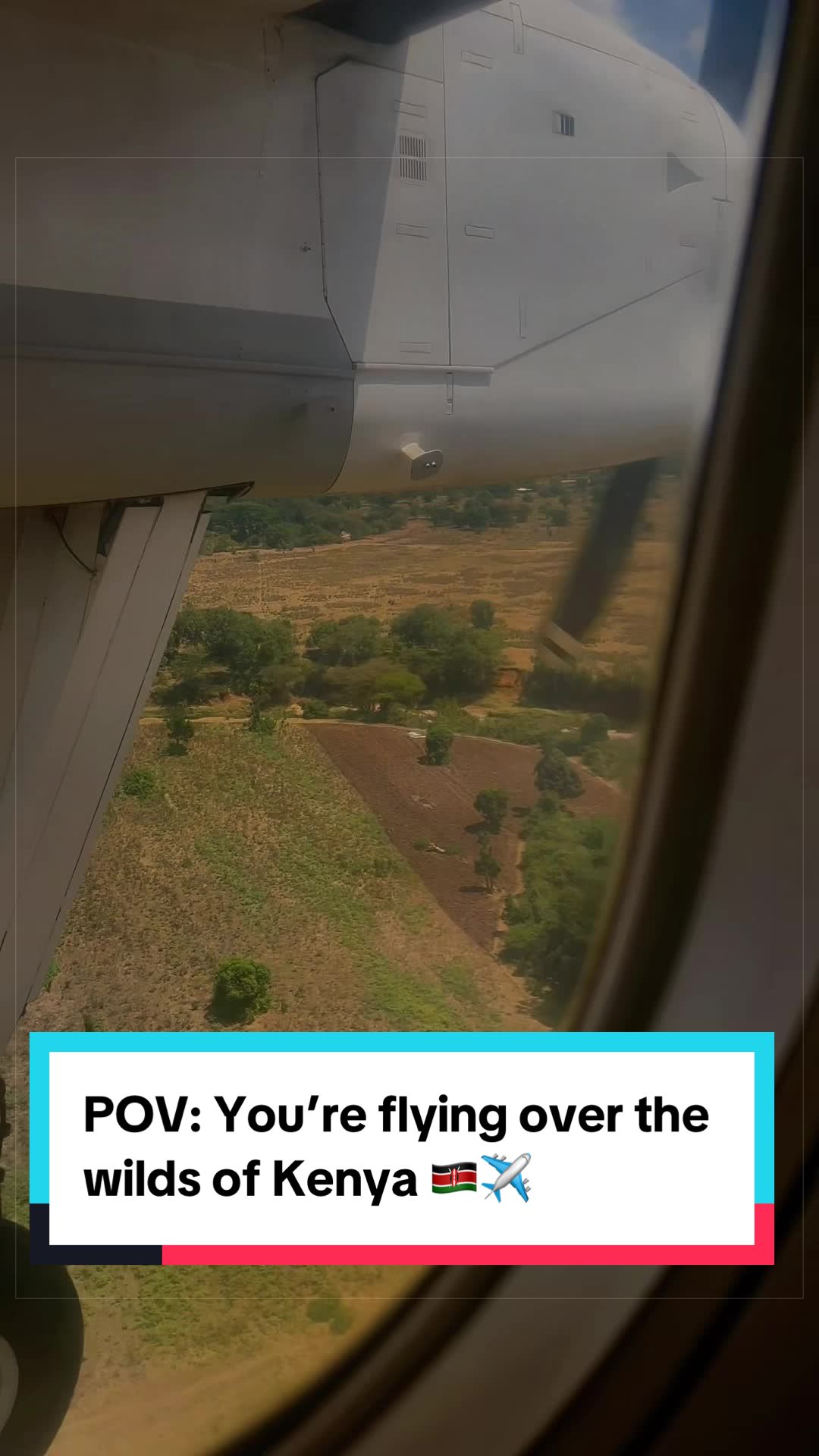 @FACEMAN