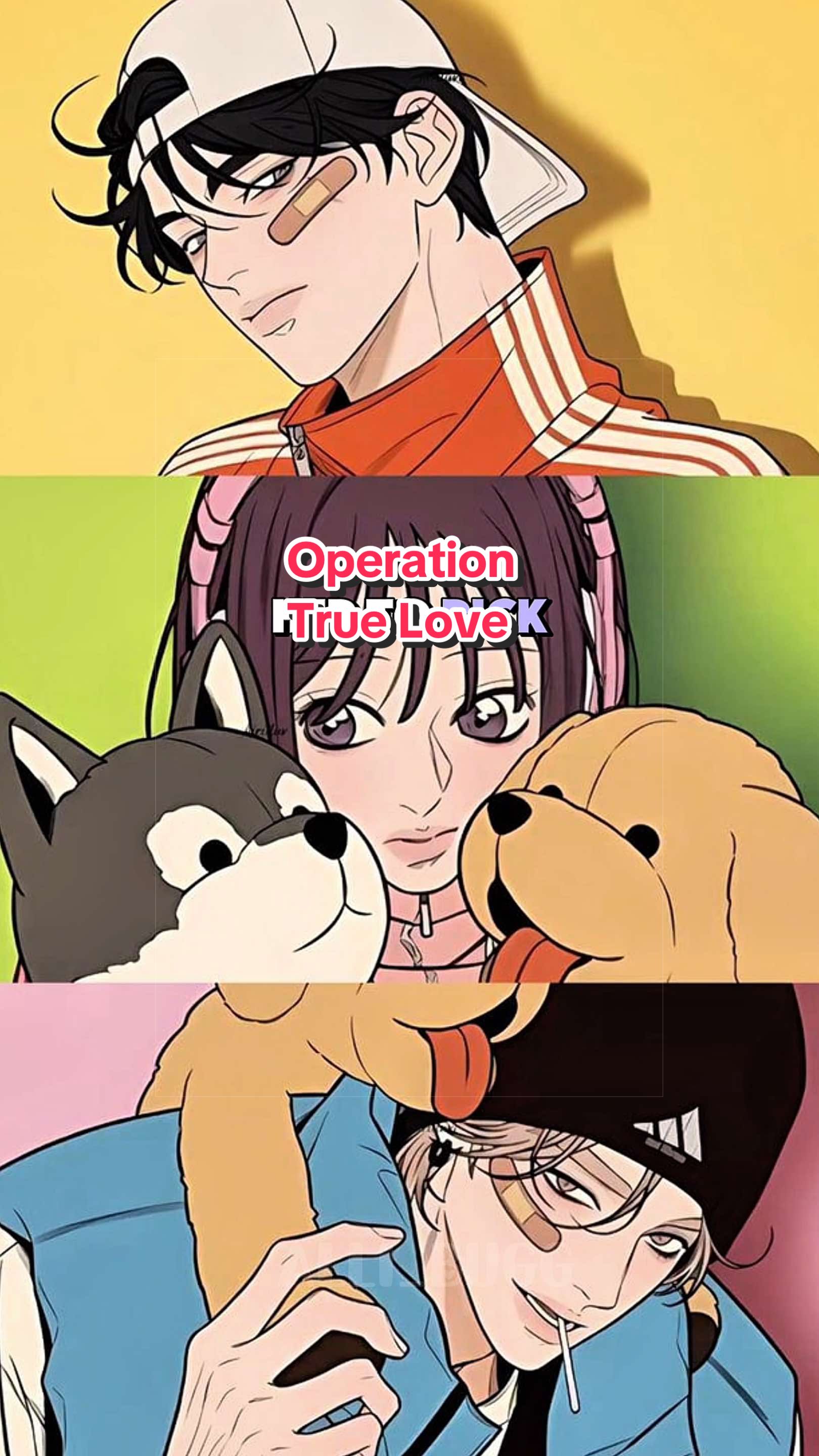 @𝐀𝐥𝐥𝐢