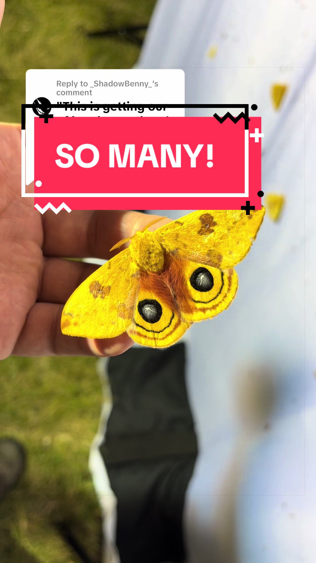 @DoctorBugz