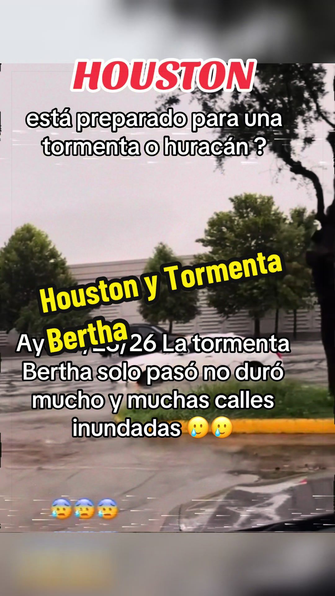 @Adelita Cantu