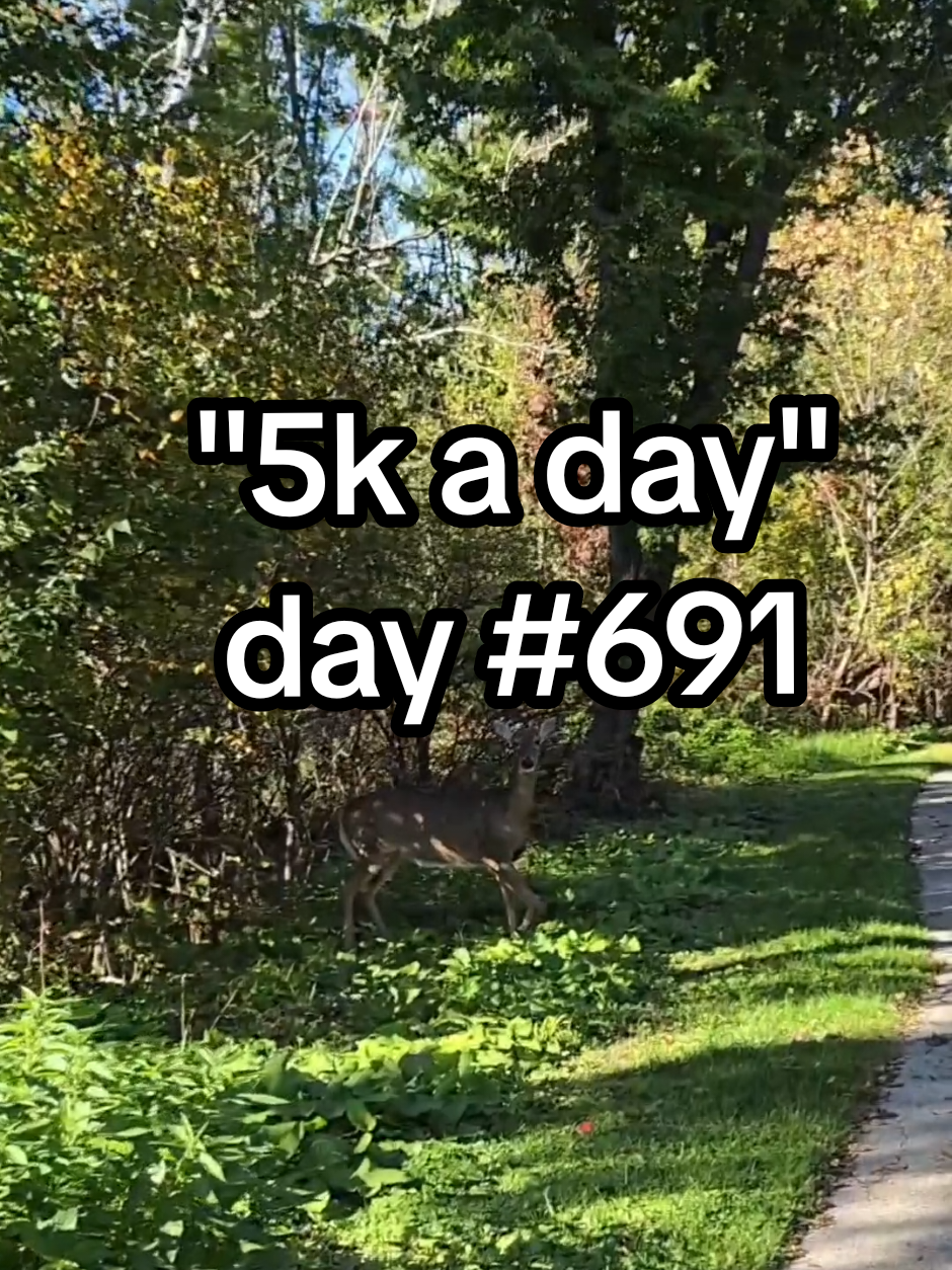 @PJ "5kAday"