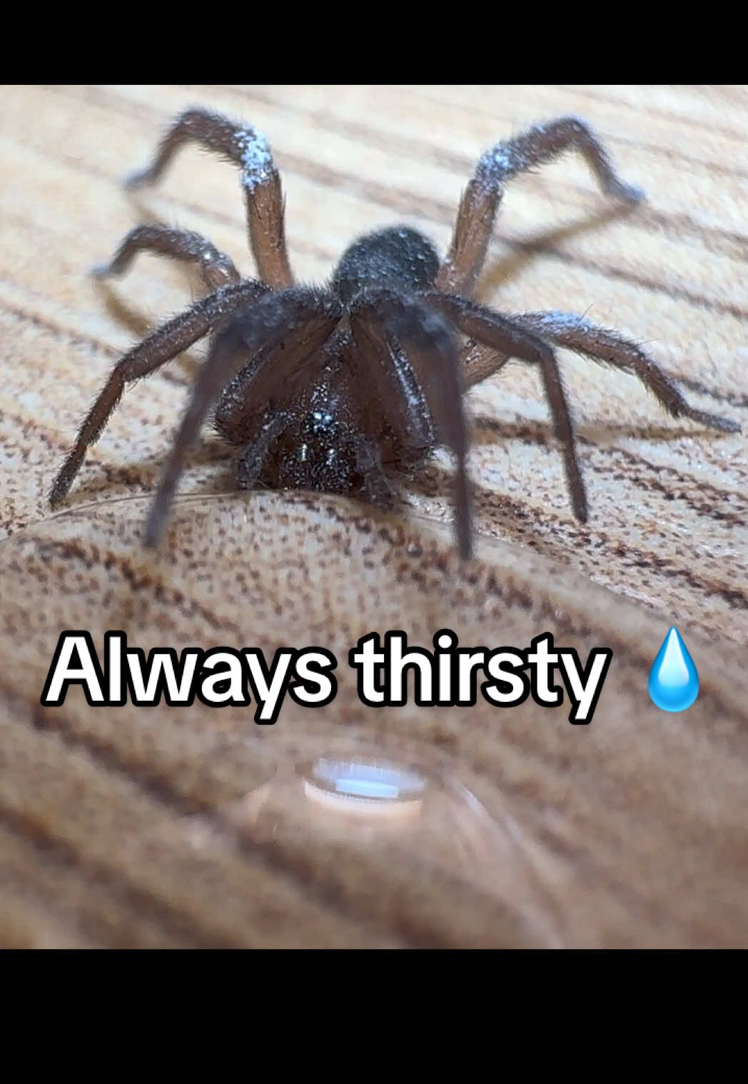 @Kara