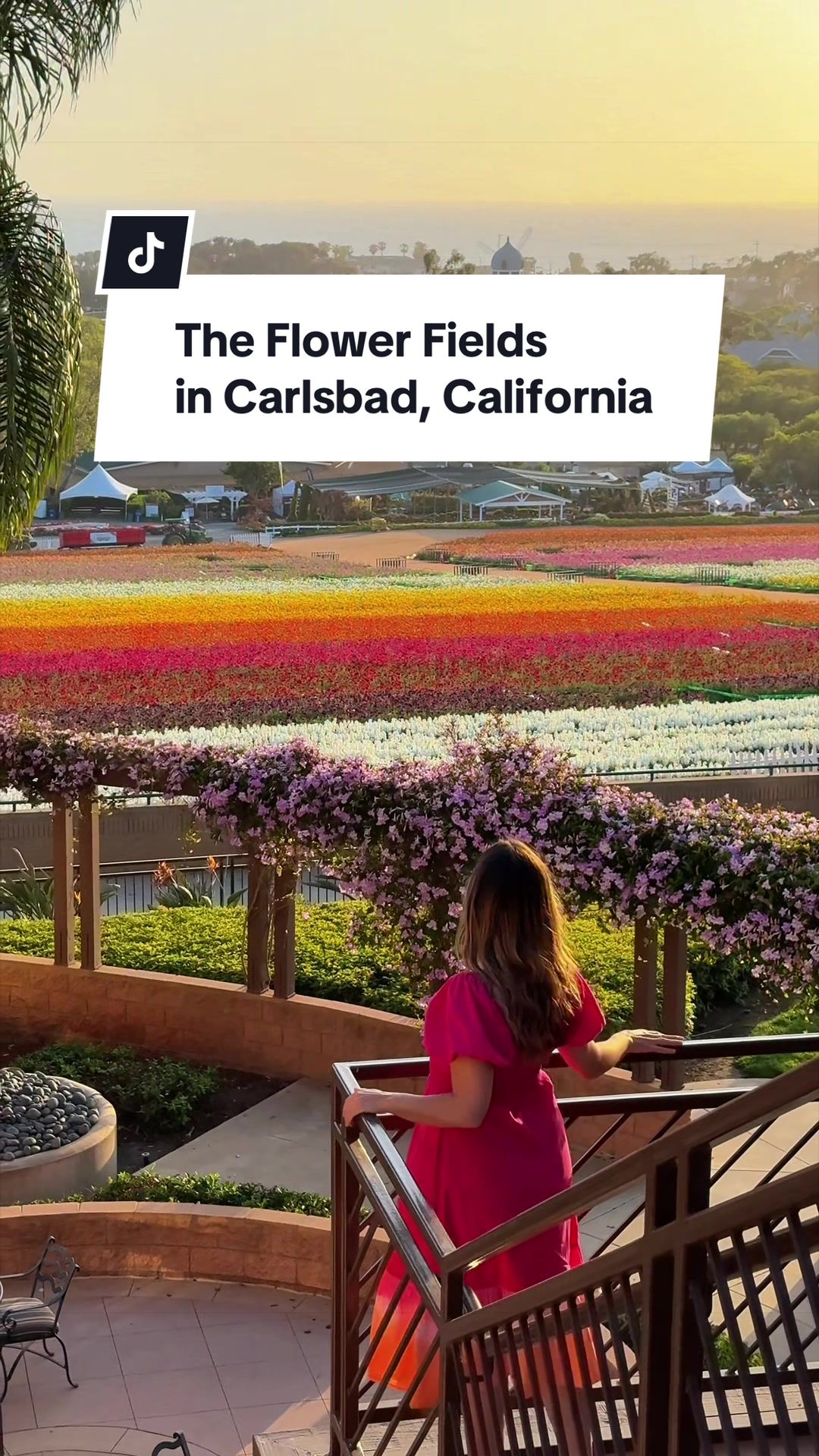 @Asya • Travel + California