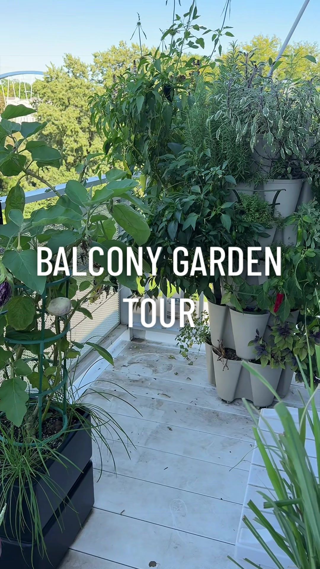 @gardeningindoors
