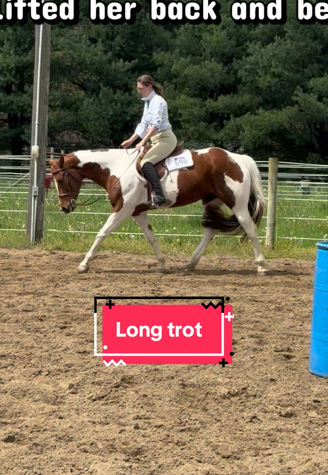 @yourhorseandponyleader
