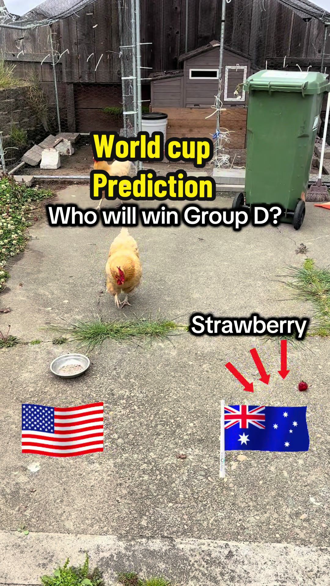 @KTrickstery Magician