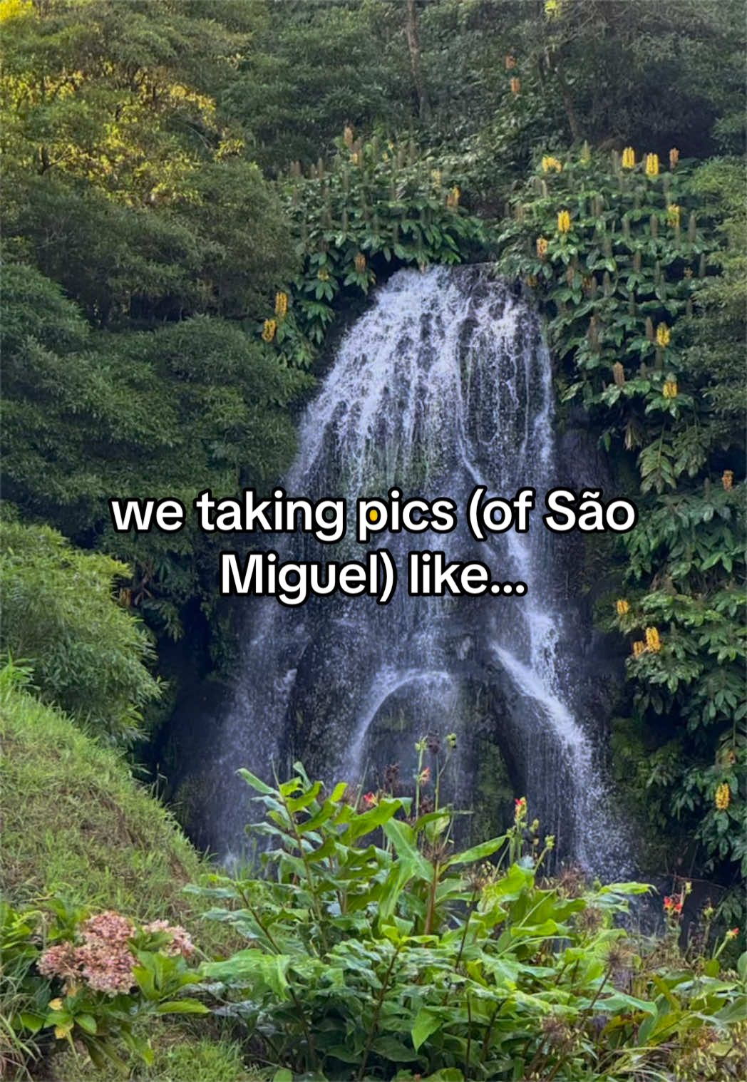 @Tori Kalisz