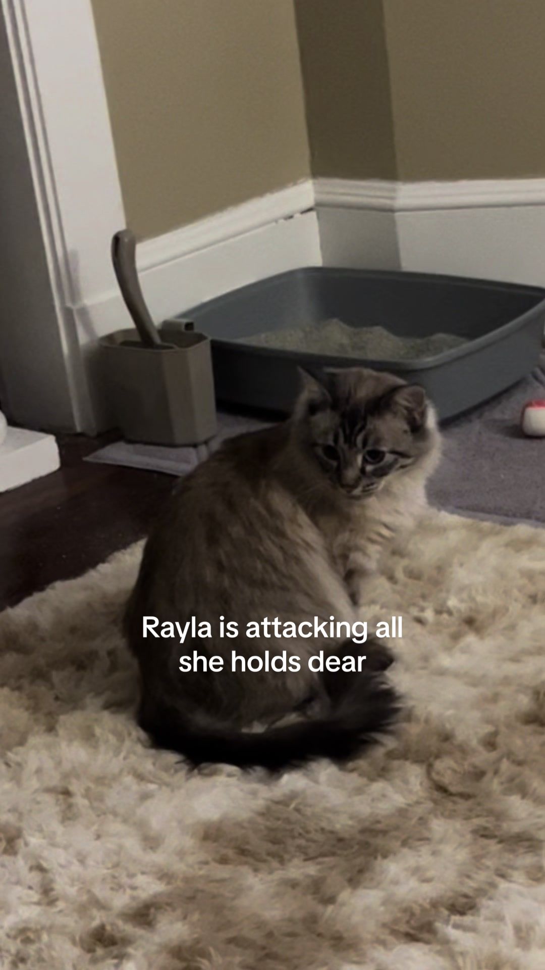 @Ez