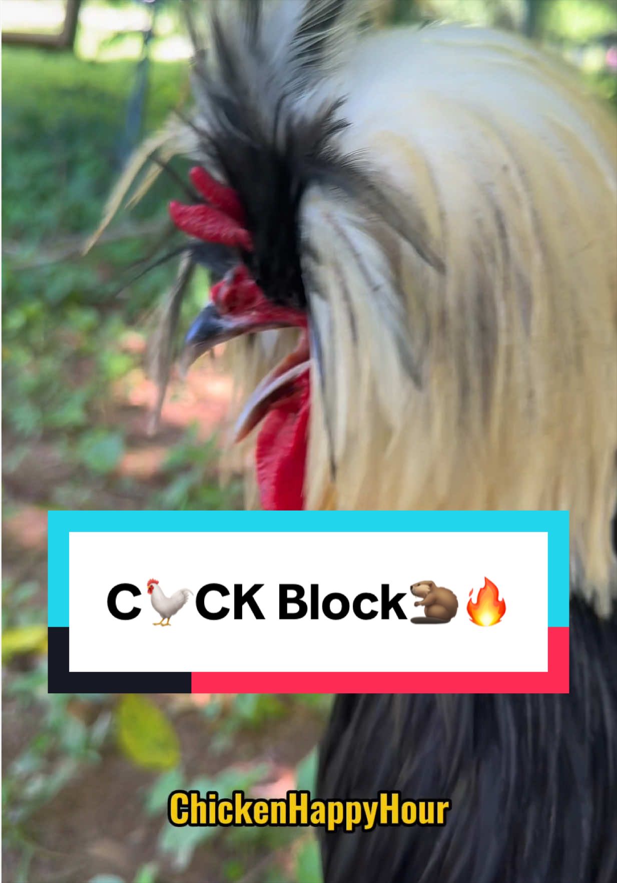 @Chicken Happy Hour