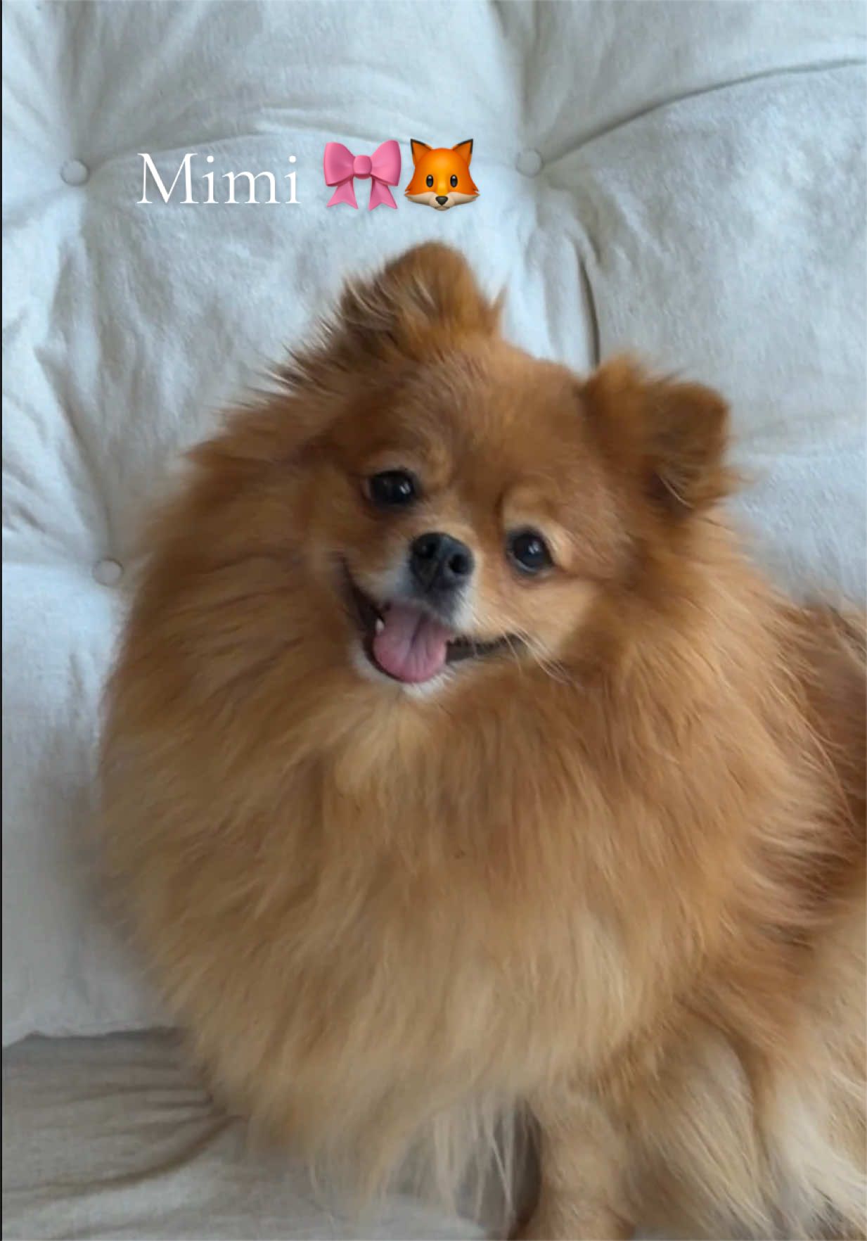 @mimi & momo