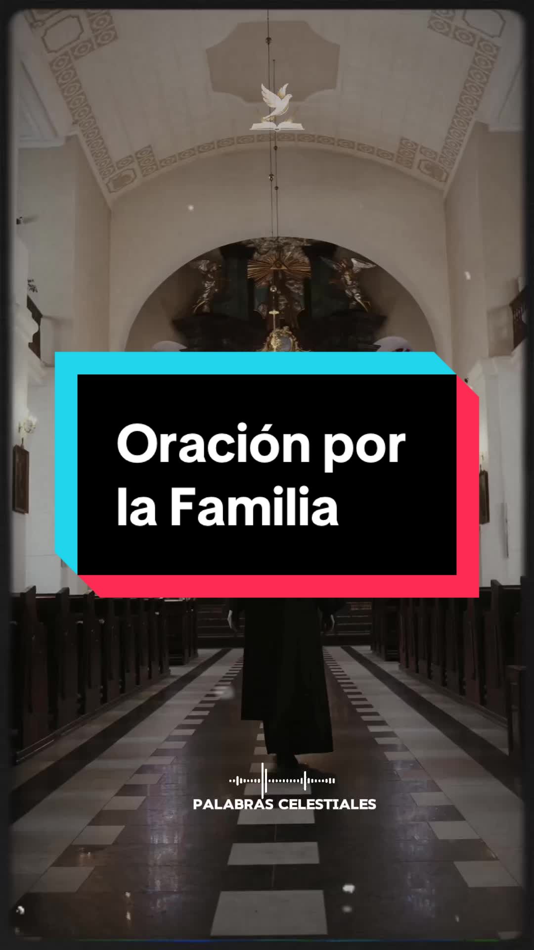 @Onlybibleclips