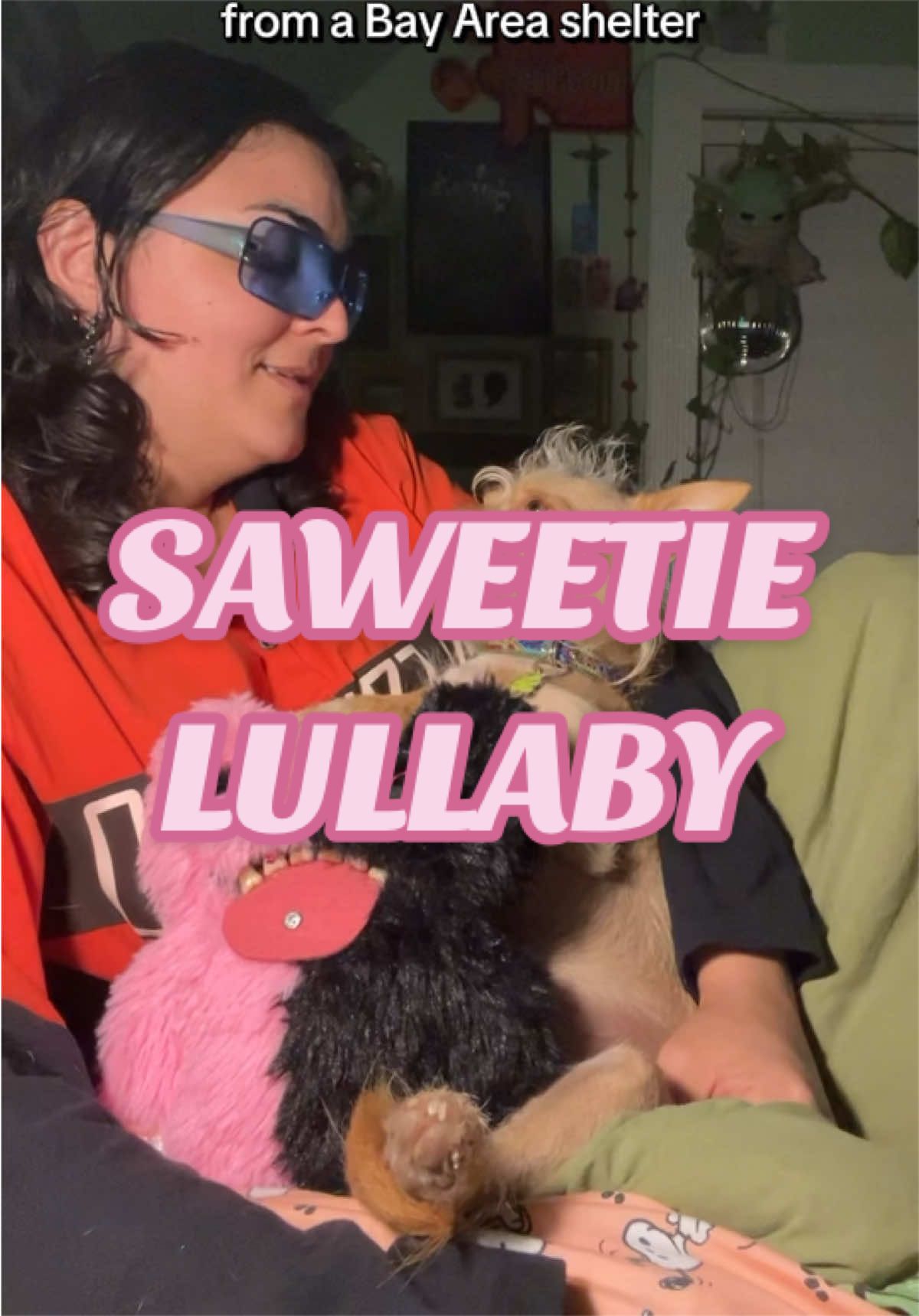 @What&rsquo;s New Sunny-Doo?