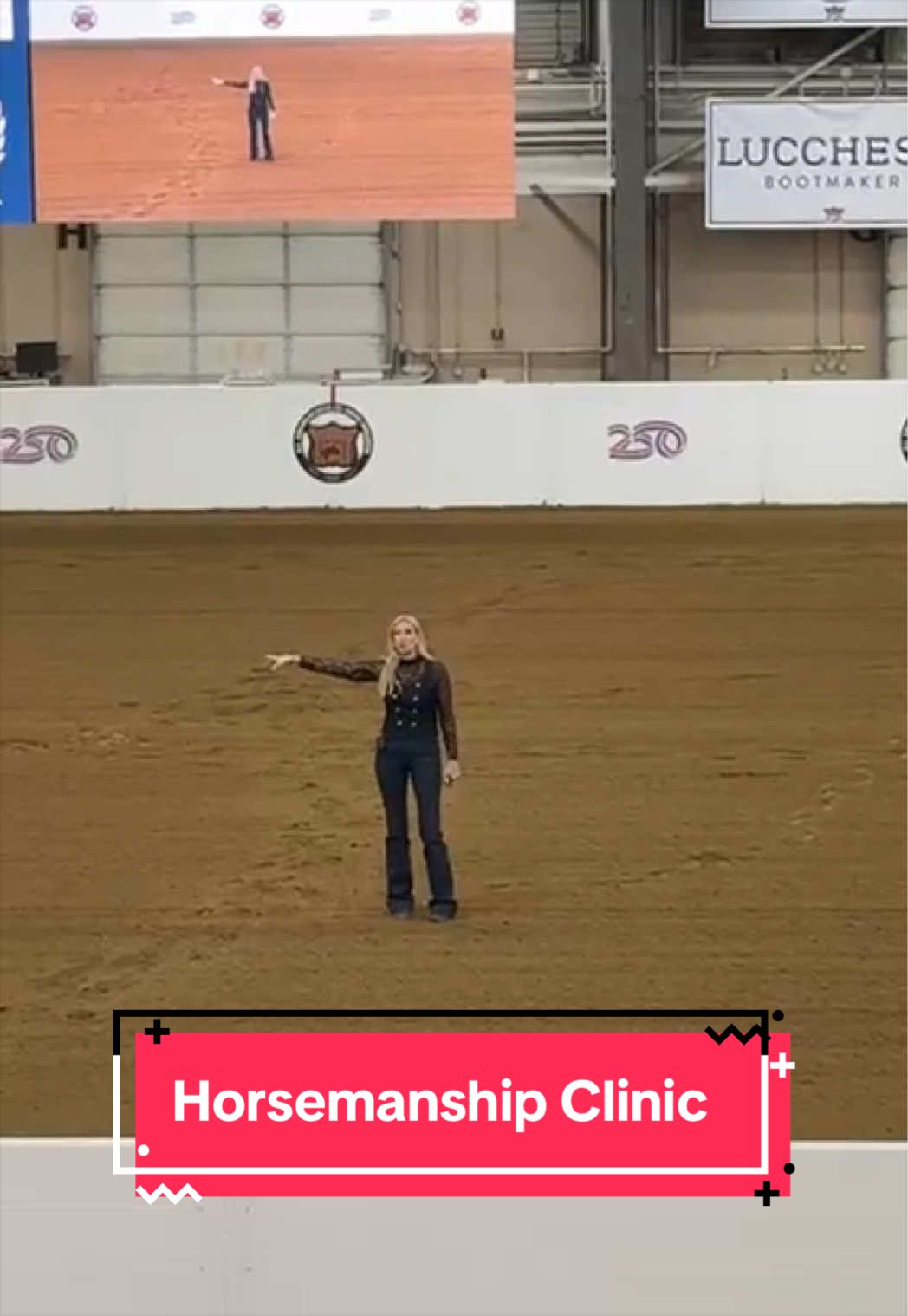 @yourhorseandponyleader