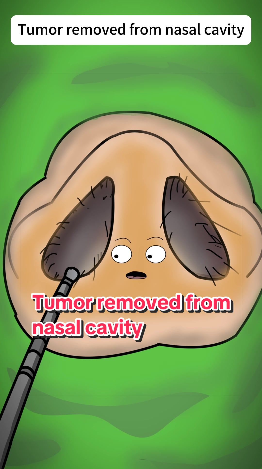 @Funny Animations