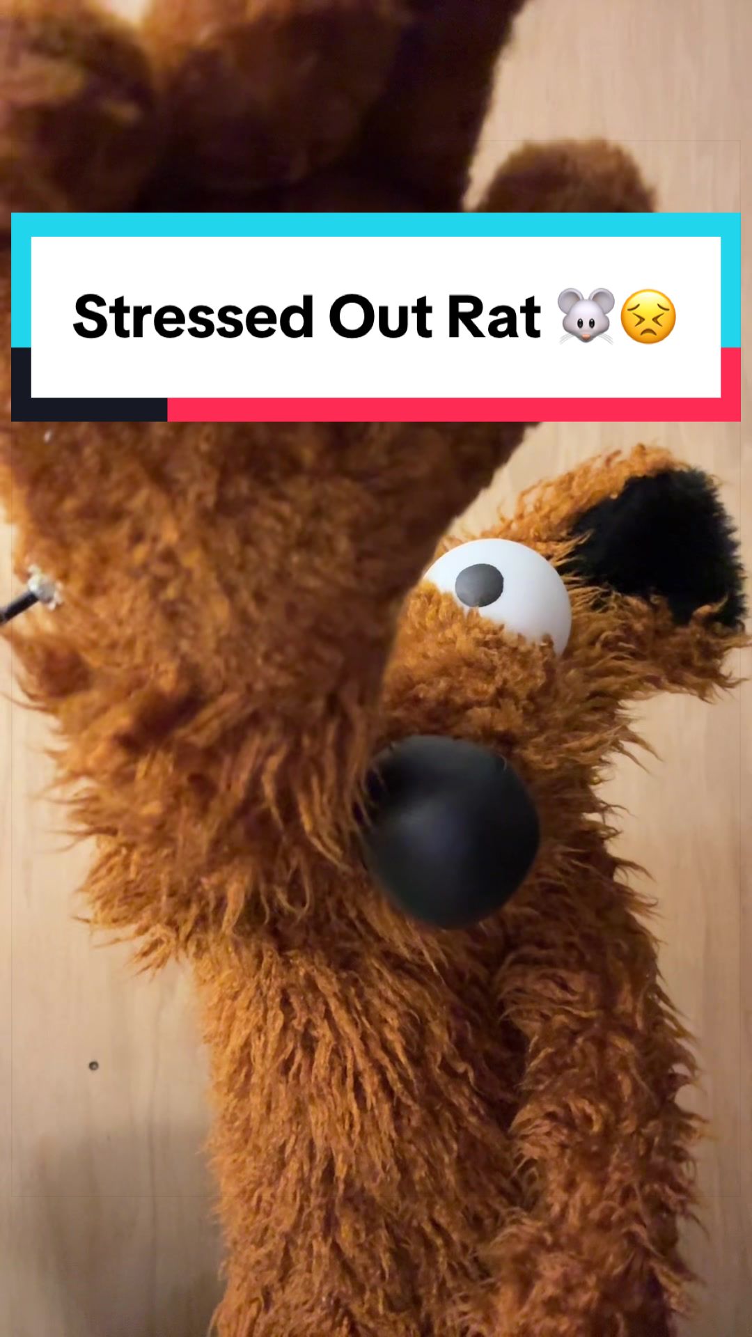 @Brooklyn Puppet Squad