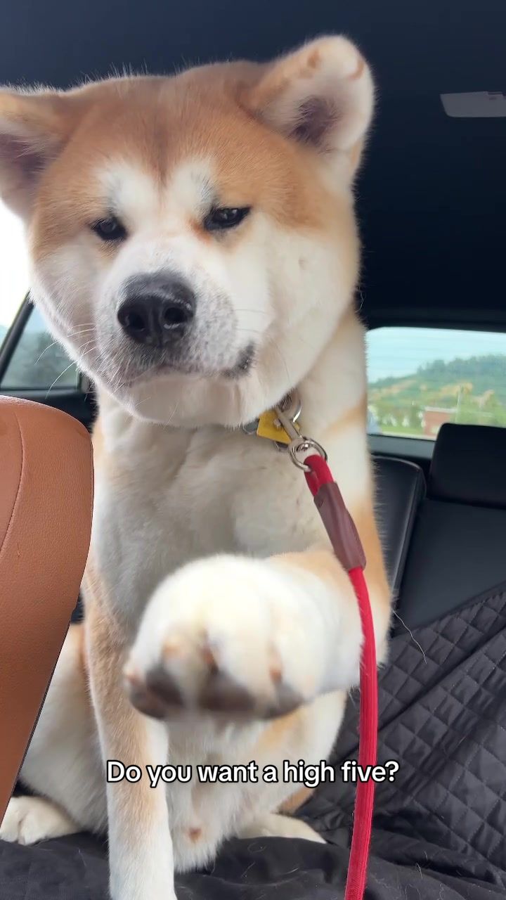 @Yuki