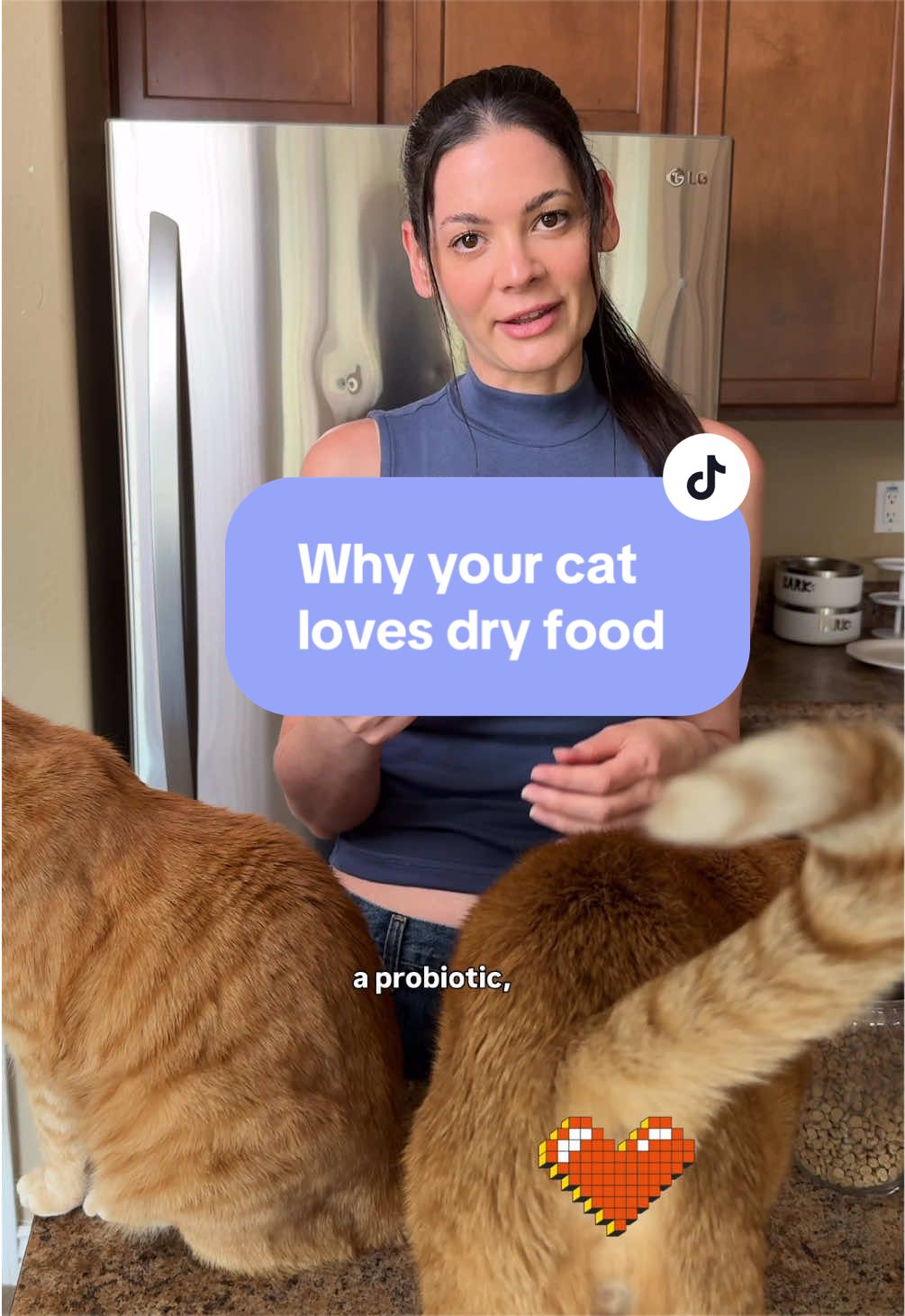 @Feminist Kitty | Cat Nutrition