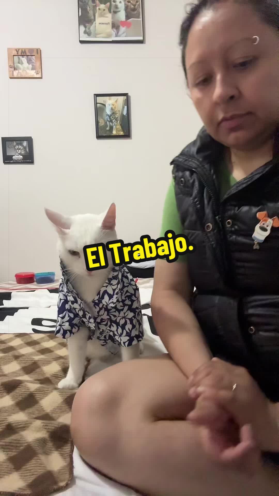 @🦖 MEOWassic CAT😺
