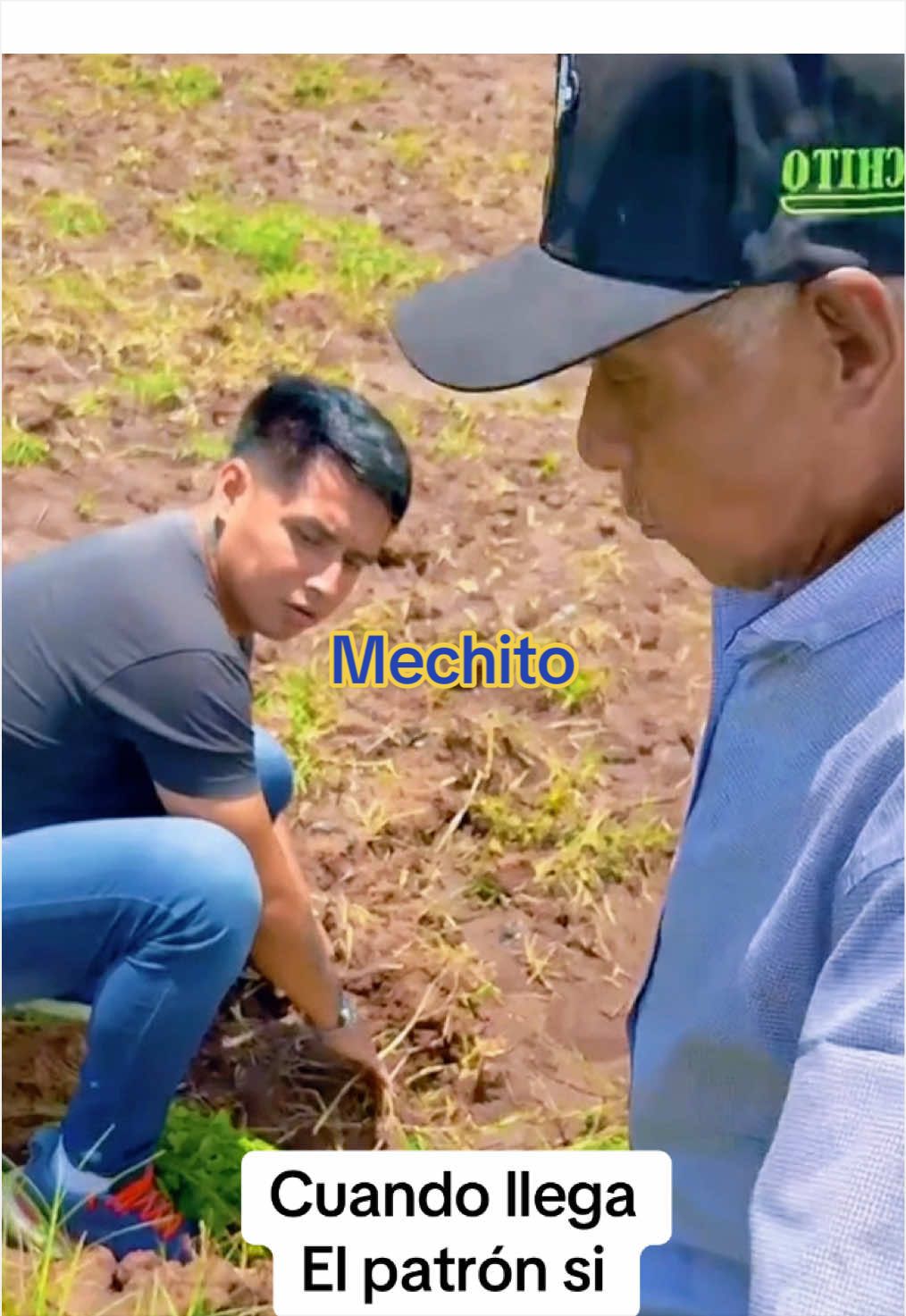 @Mechito aventuras