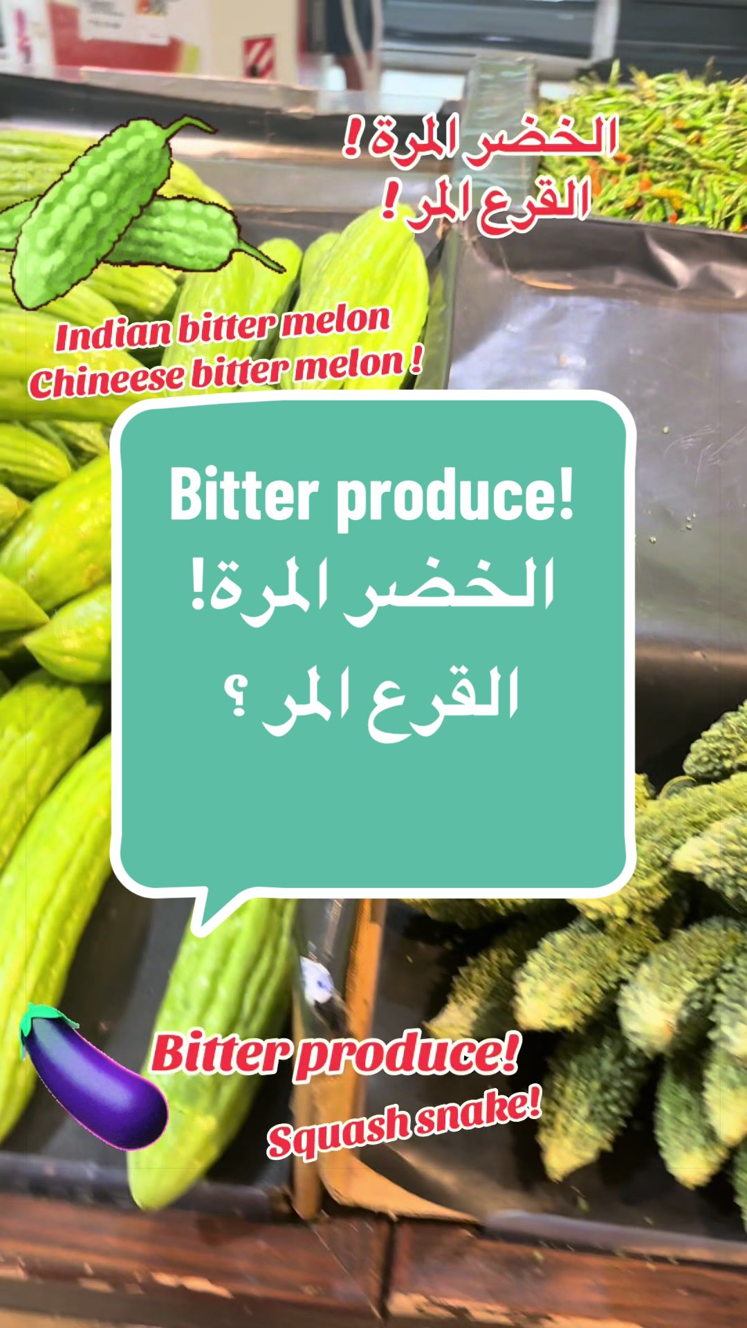 @SIMO-USA (سيمو-امريكا) !
