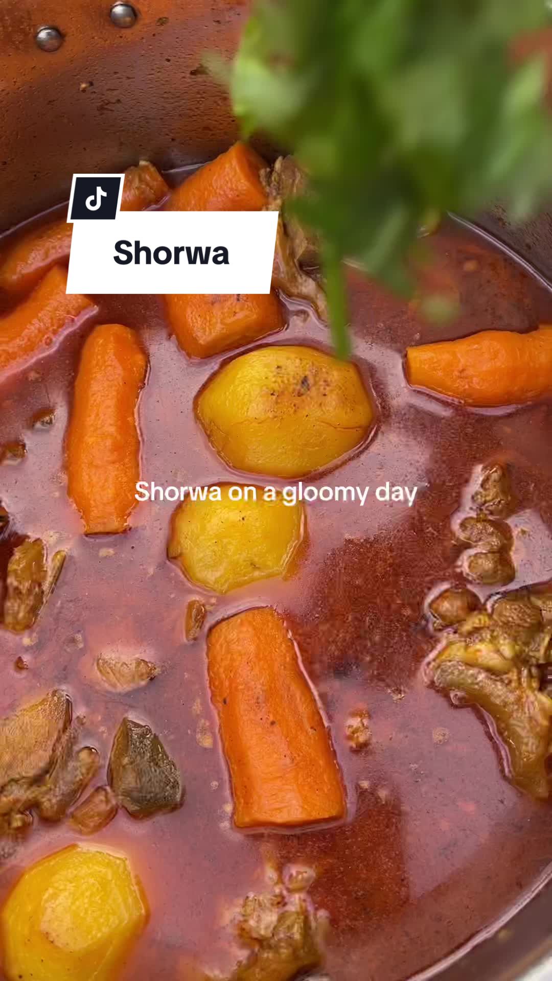@Ahesha