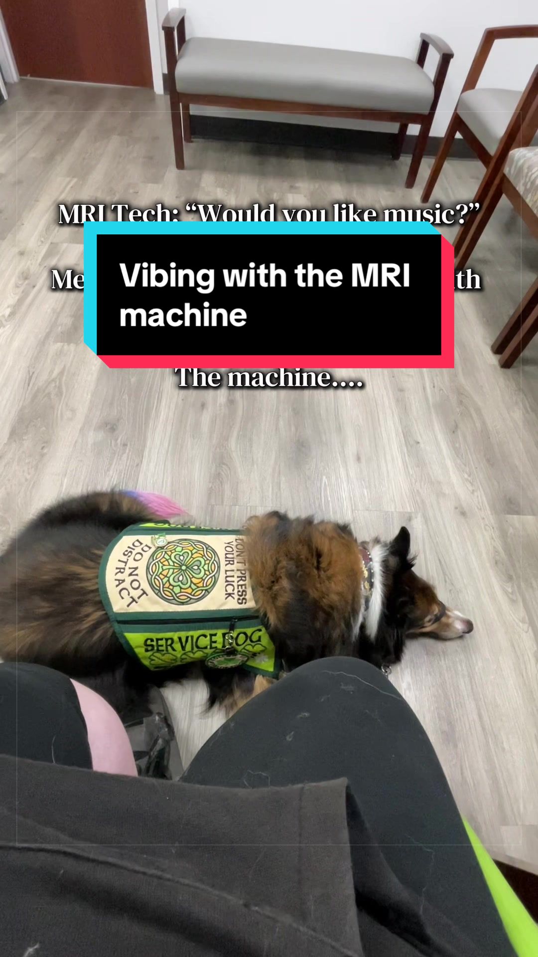 @Dakota & Pups