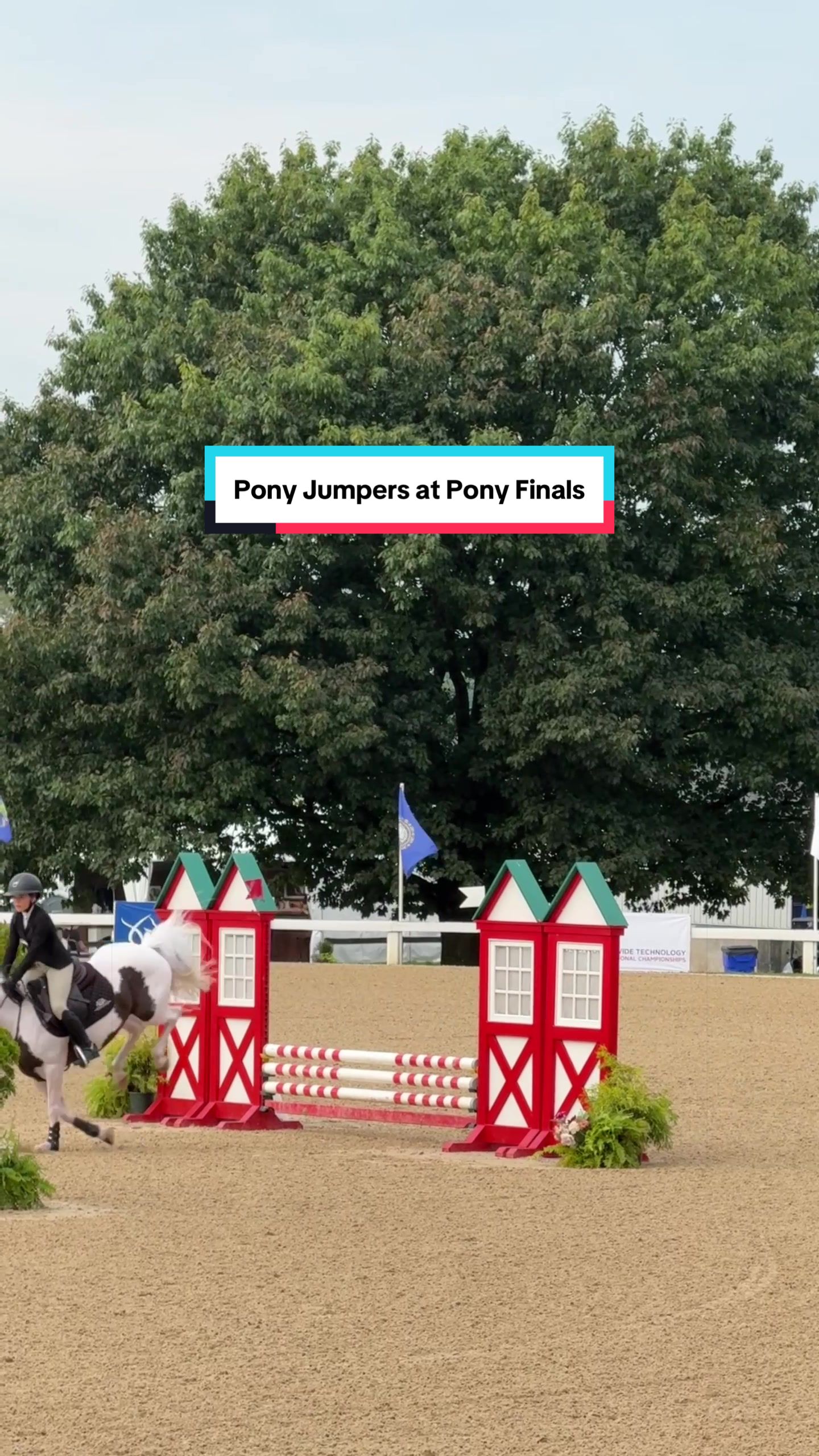 @Dalman Jump Co
