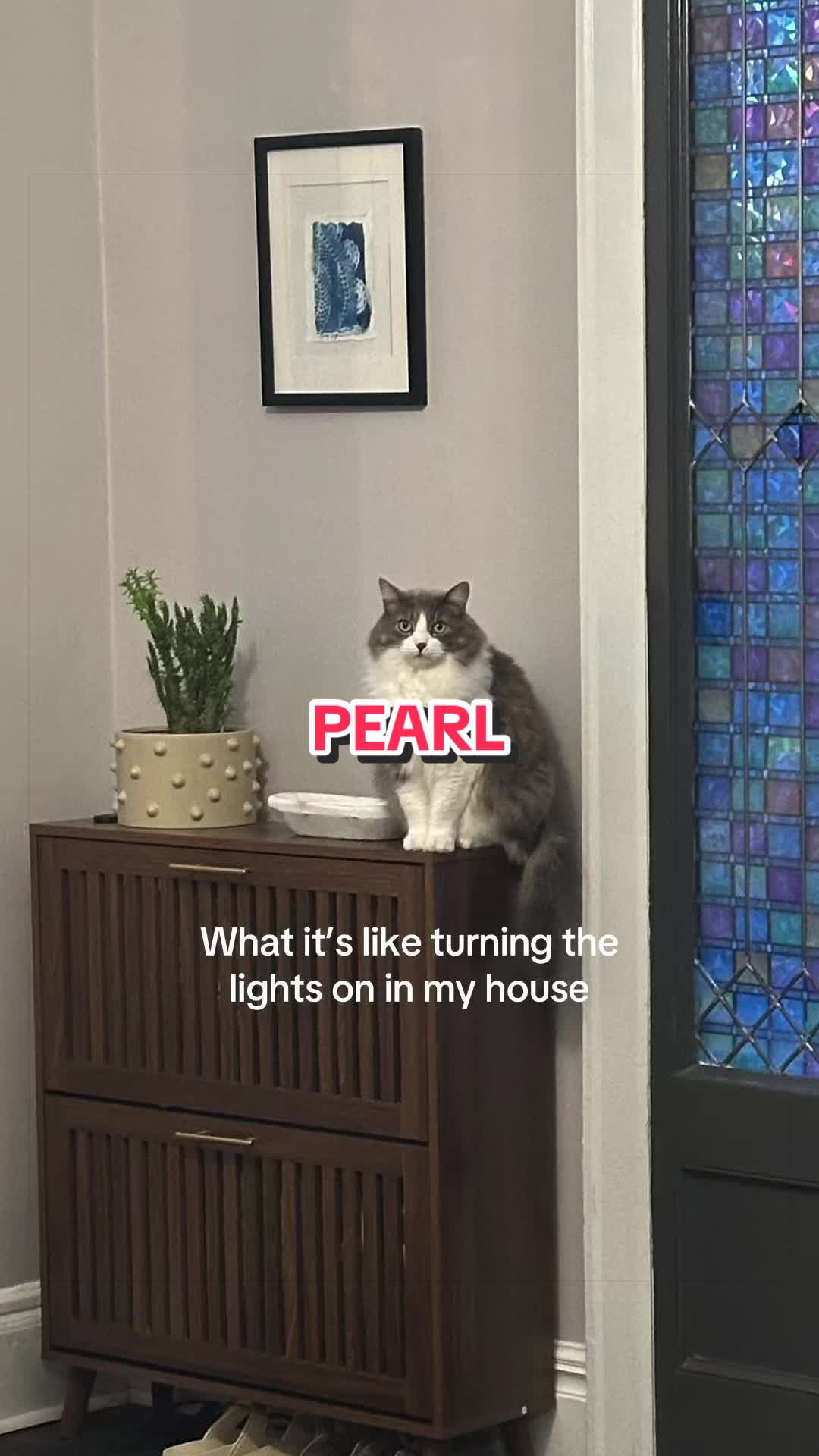@yumlabels