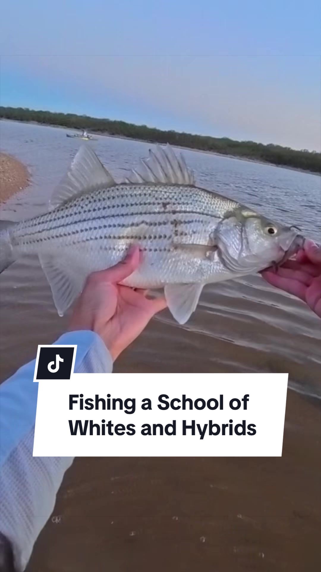 @fishingbri