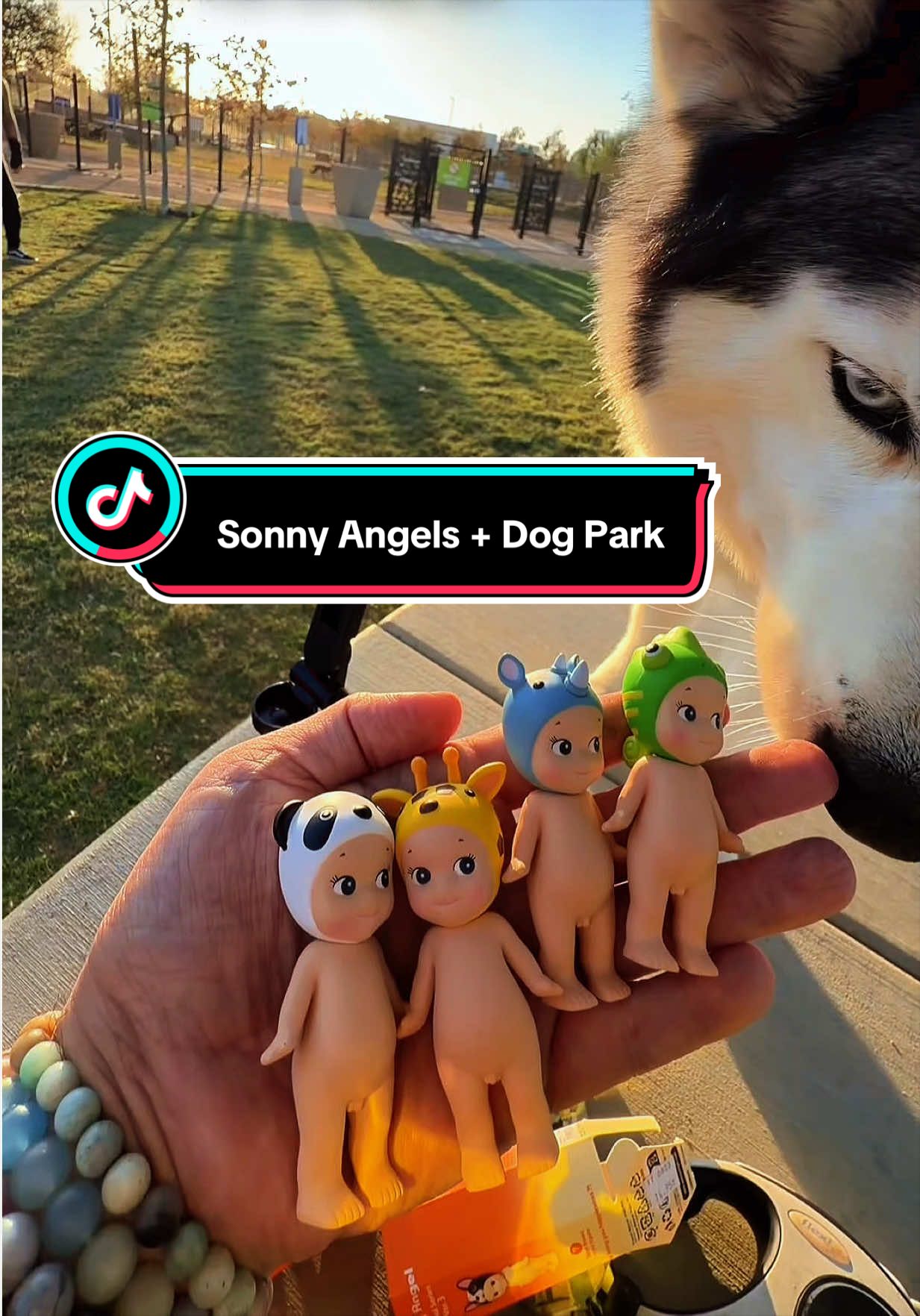 @Mr_CooperOnyx
