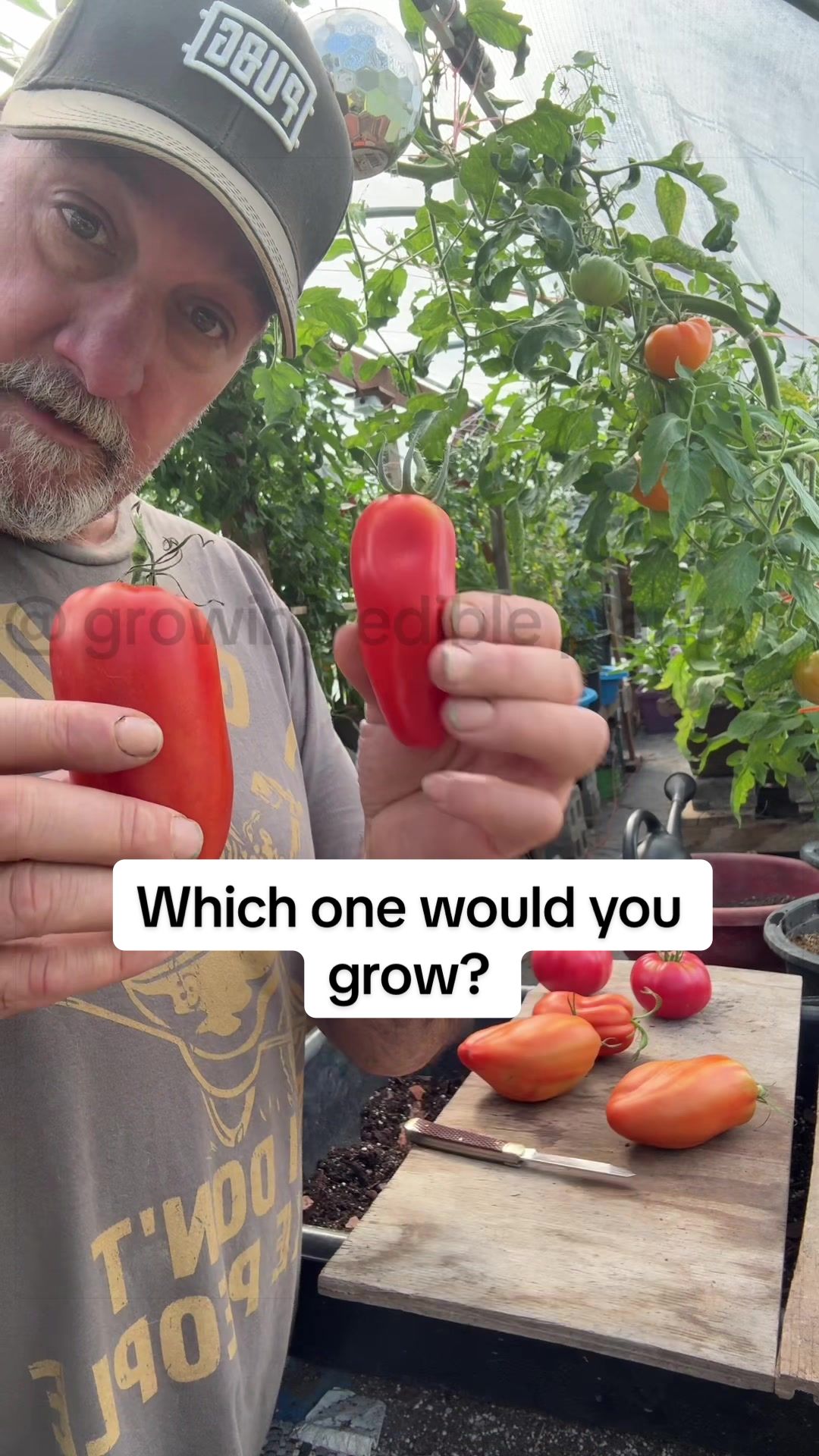 @GROWING_EDIBLE_PLANTS